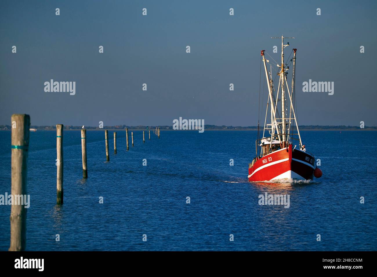 Barca per gamberetti nel porto di Neuharlingersiel, Germania, bassa Sassonia, bassa Sassonia Parco Nazionale del Mare di Wadden, Neuharlingersiel Foto Stock
