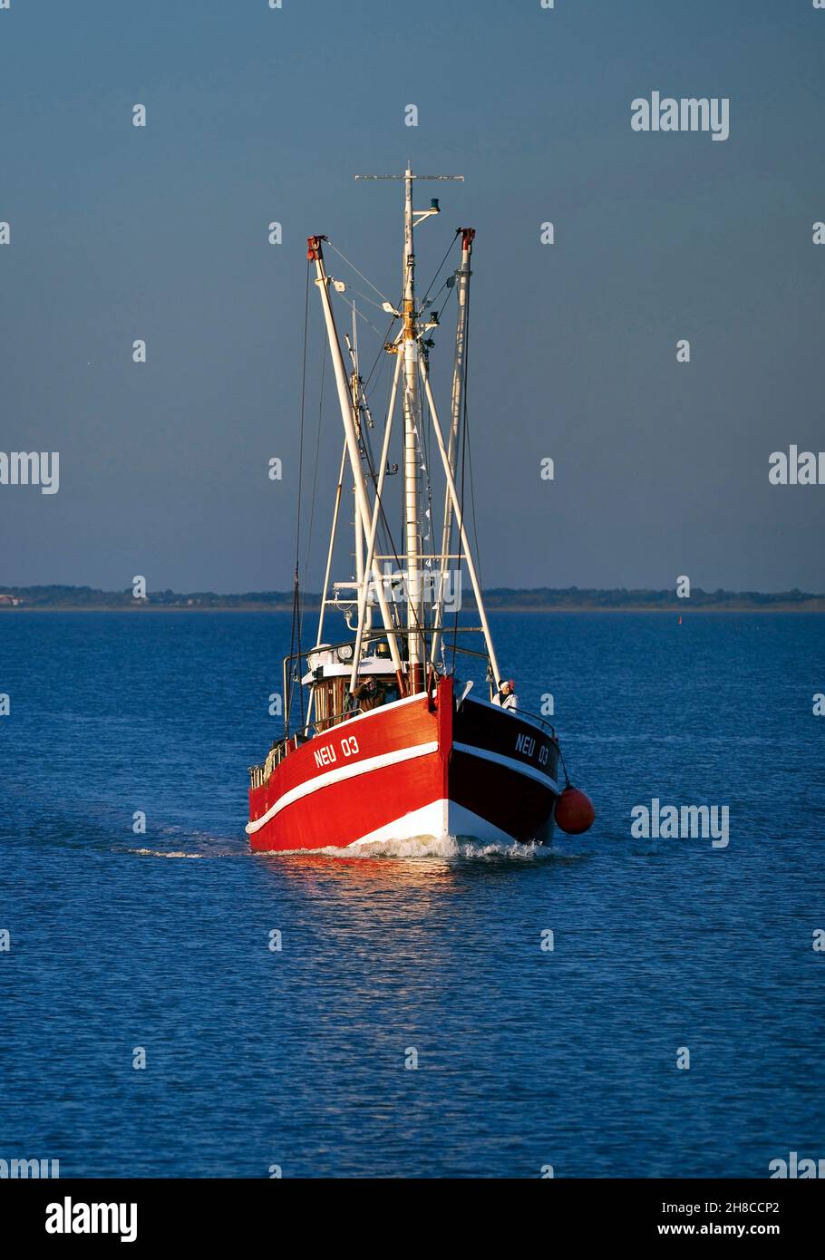 barca shrimper nel Mare del Nord, Germania, bassa Sassonia, bassa Sassonia Parco Nazionale del Mare di Wadden Foto Stock