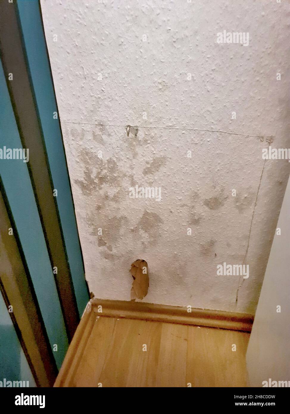 muro umido in una camera, perdita assicurata Foto Stock