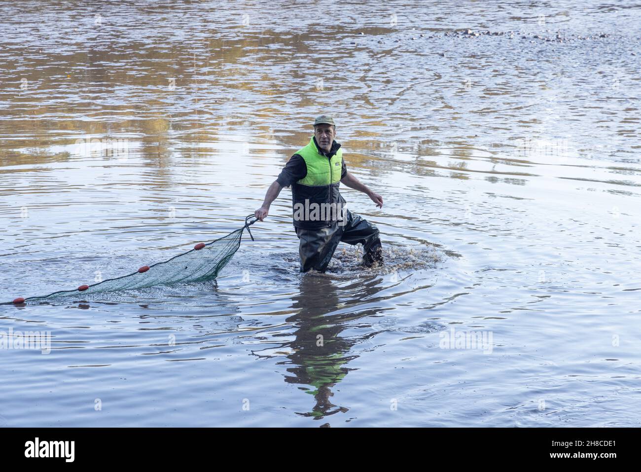 Laghetto di allevamento ittico, pesca in laghetto con le marine, Germania, Baviera, Tirschenreuther Teichpfanne, Tirschenreuth Foto Stock