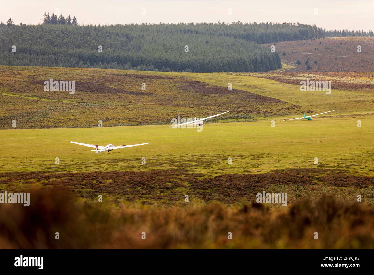 Alianti al Midland Gliding Club on the Heathland, Long Mynd, Shropshire Hills, area di bellezza naturale, Inghilterra Foto Stock