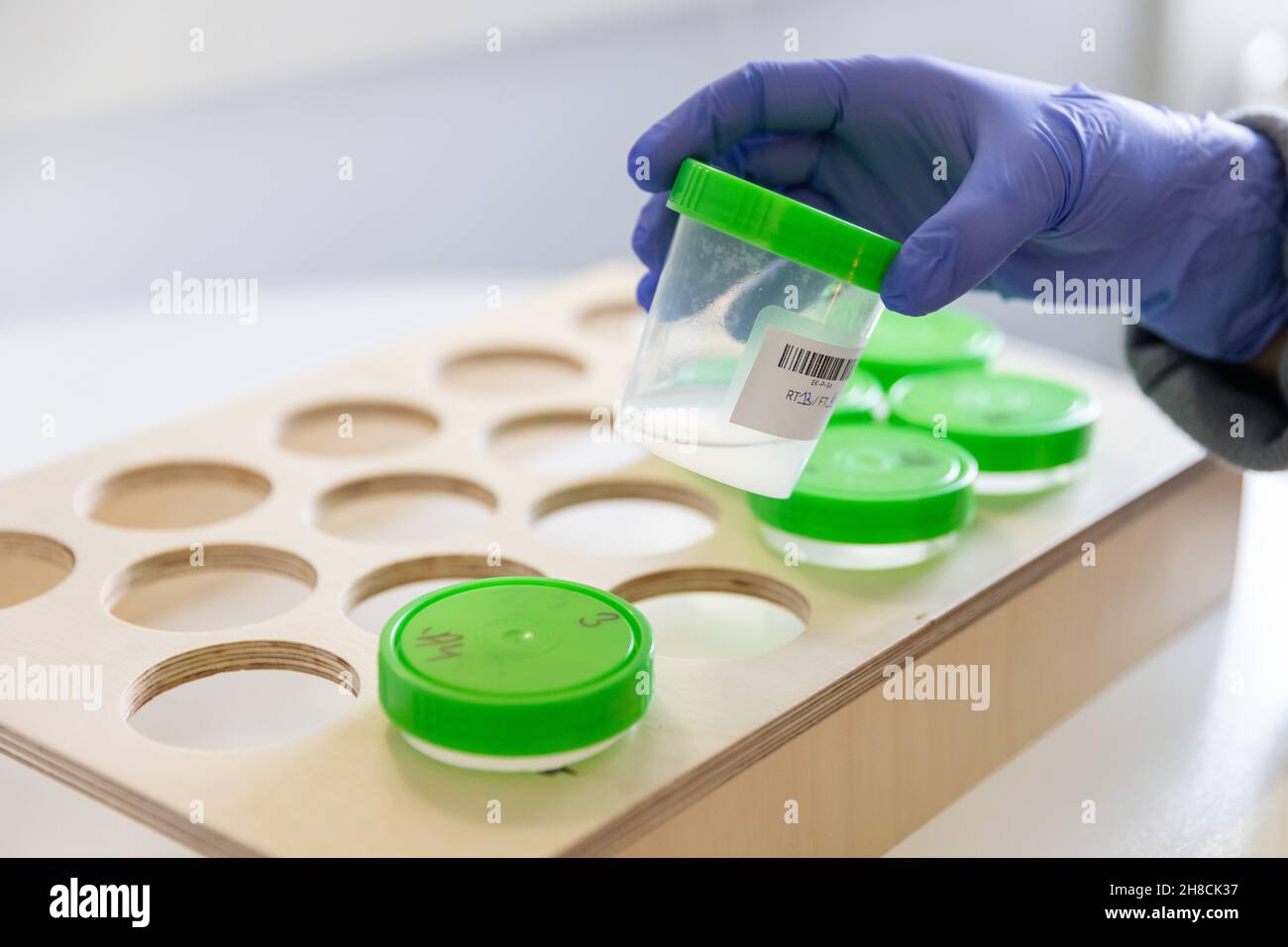 Norimberga, Germania. 29 novembre 2021. Un dipendente del laboratorio presso il fornitore DI servizi IT Datev, ad esempio, svolge un test di controllo presso una scuola in un laboratorio. Gli asili e le scuole della regione possono utilizzare le capacità inutilizzate dell'infrastruttura di test di Datev, che l'azienda ha costruito per le proprie esigenze. In cambio, le istituzioni consegnano i campioni, solitamente raggruppati per classe, per il test PCR, che viene analizzato gratuitamente in un contenitore di laboratorio acquistato da Datev. Credit: Daniel Karmann/dpa/Alamy Live News Foto Stock