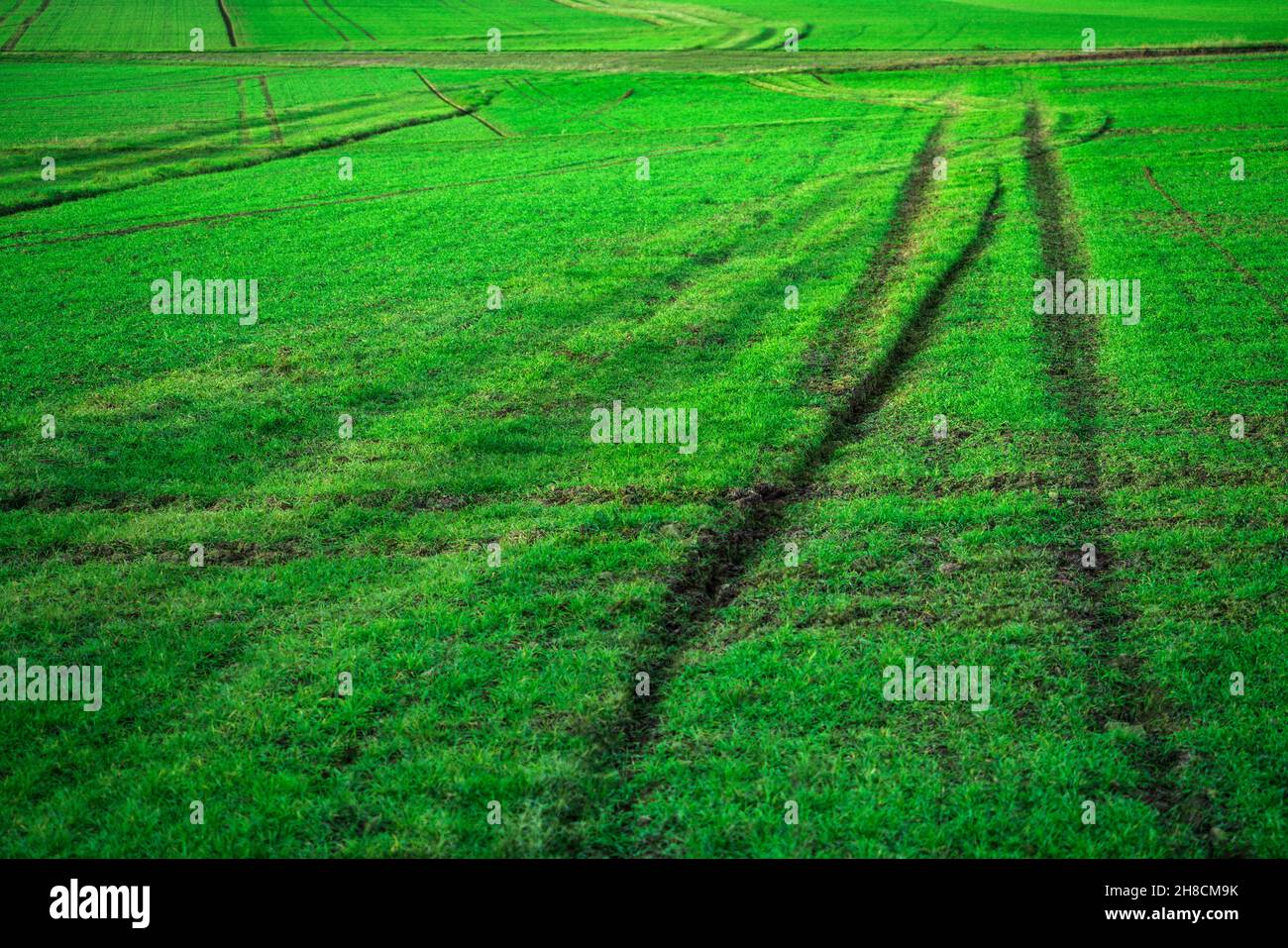 Paesaggio vicino al villaggio di Gewissenruh, Wesertal, Weser Uplands, Weserbergland, Assia, Germania, alterata digitalmente Foto Stock