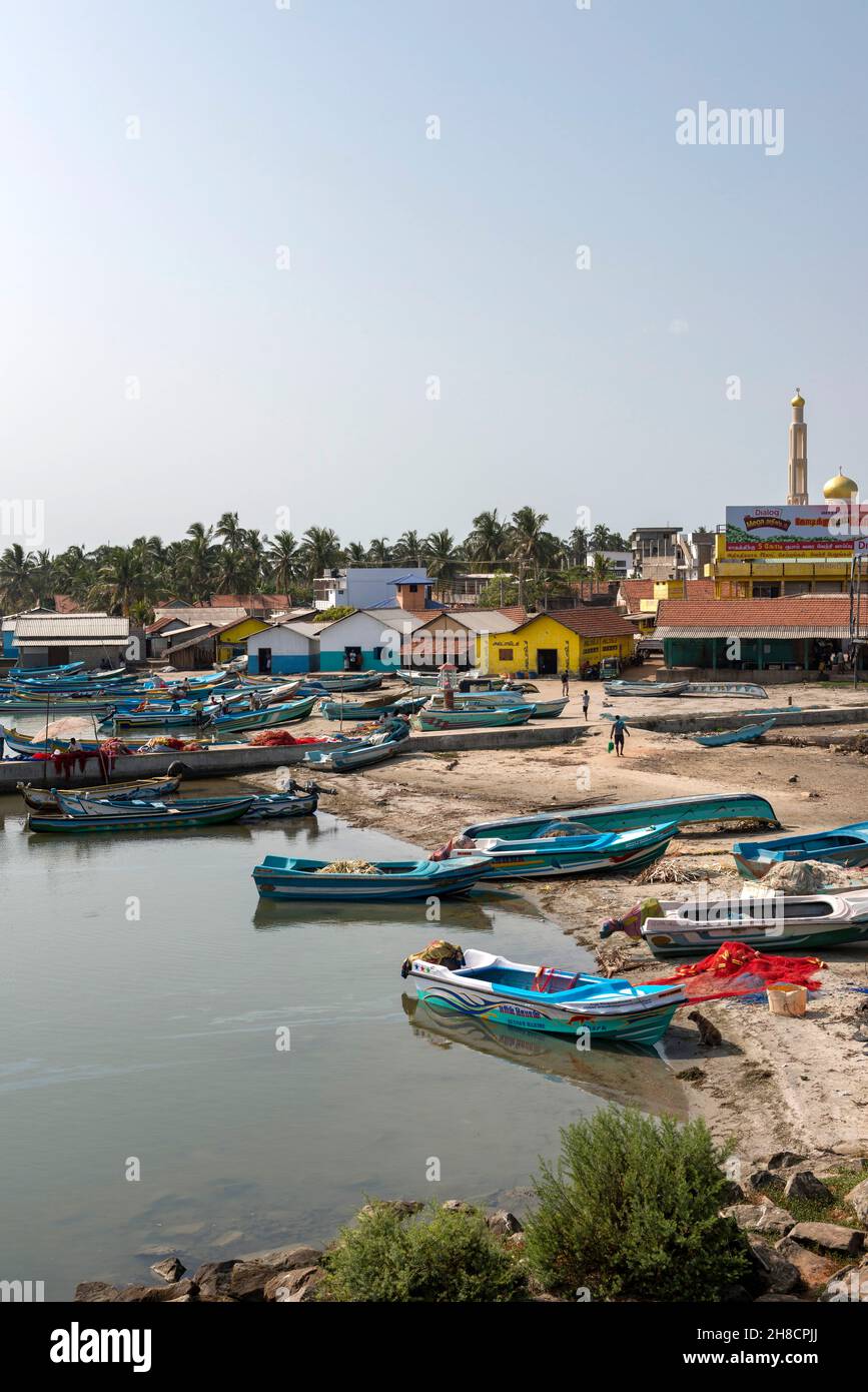 Sri Lanka, provincia settentrionale, provincia du Nord, Nördliche Provinz, ville, Staadt, città, Mannar, porto, Hafen, Porto, Bateau de pêche Fischerboot, fis Foto Stock