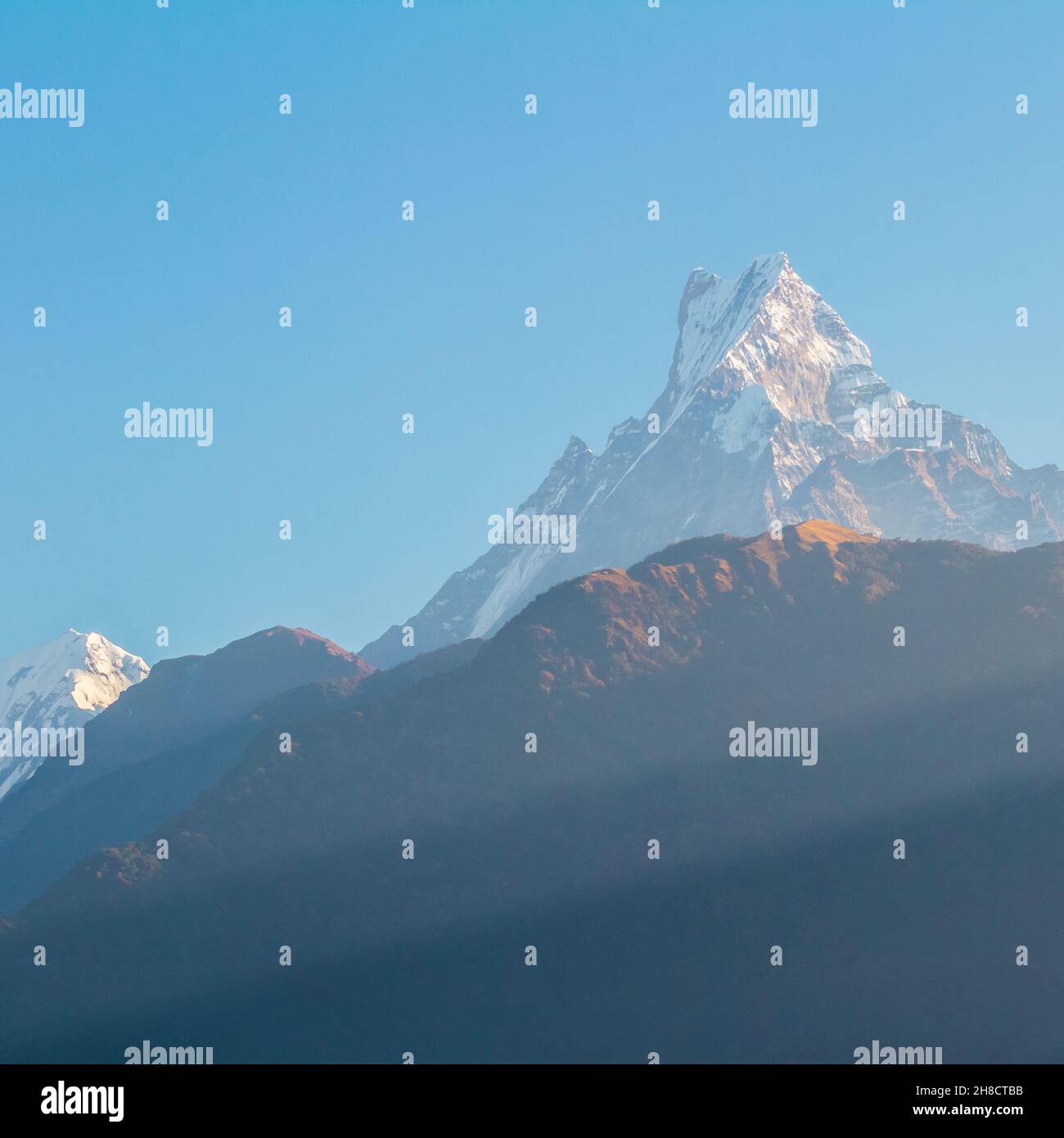 Vista del Monte Machhapuchhre, Himalaya, Nepal. Foto Stock