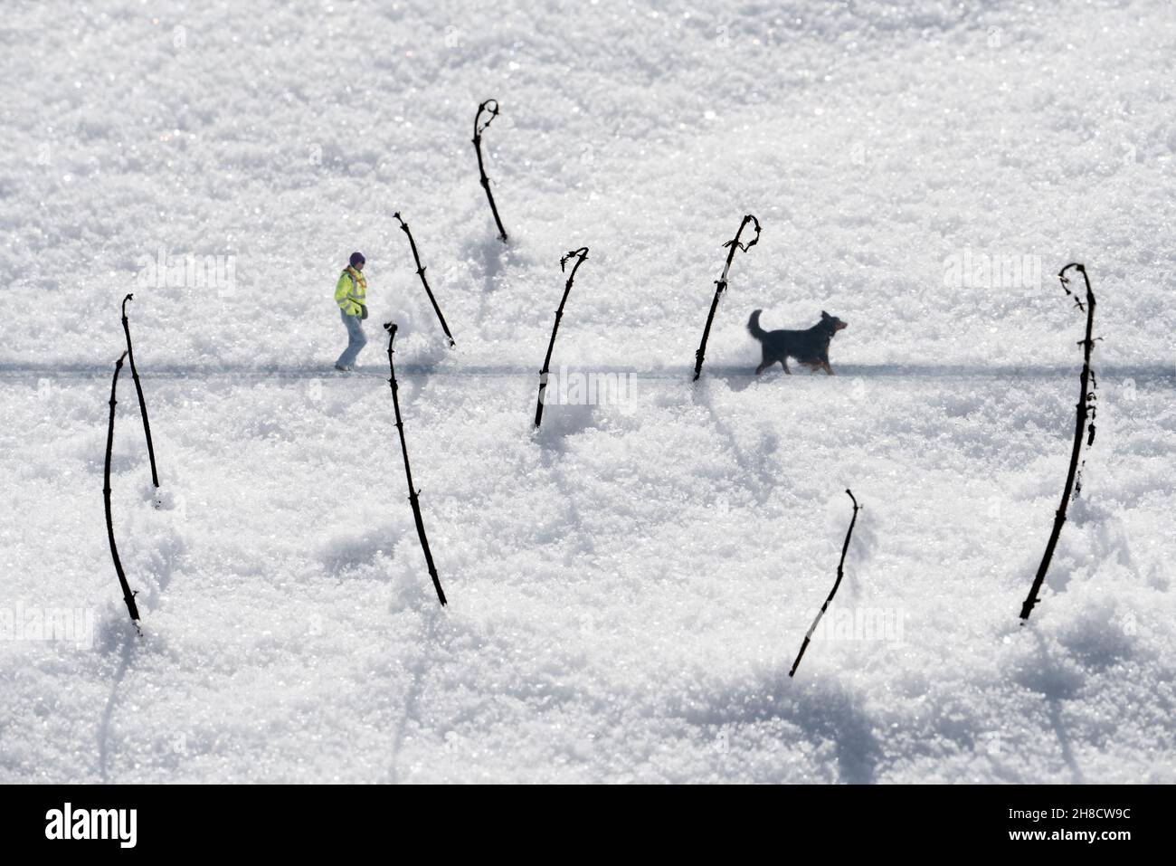 Superficie innevata, doppia esposizione Foto Stock