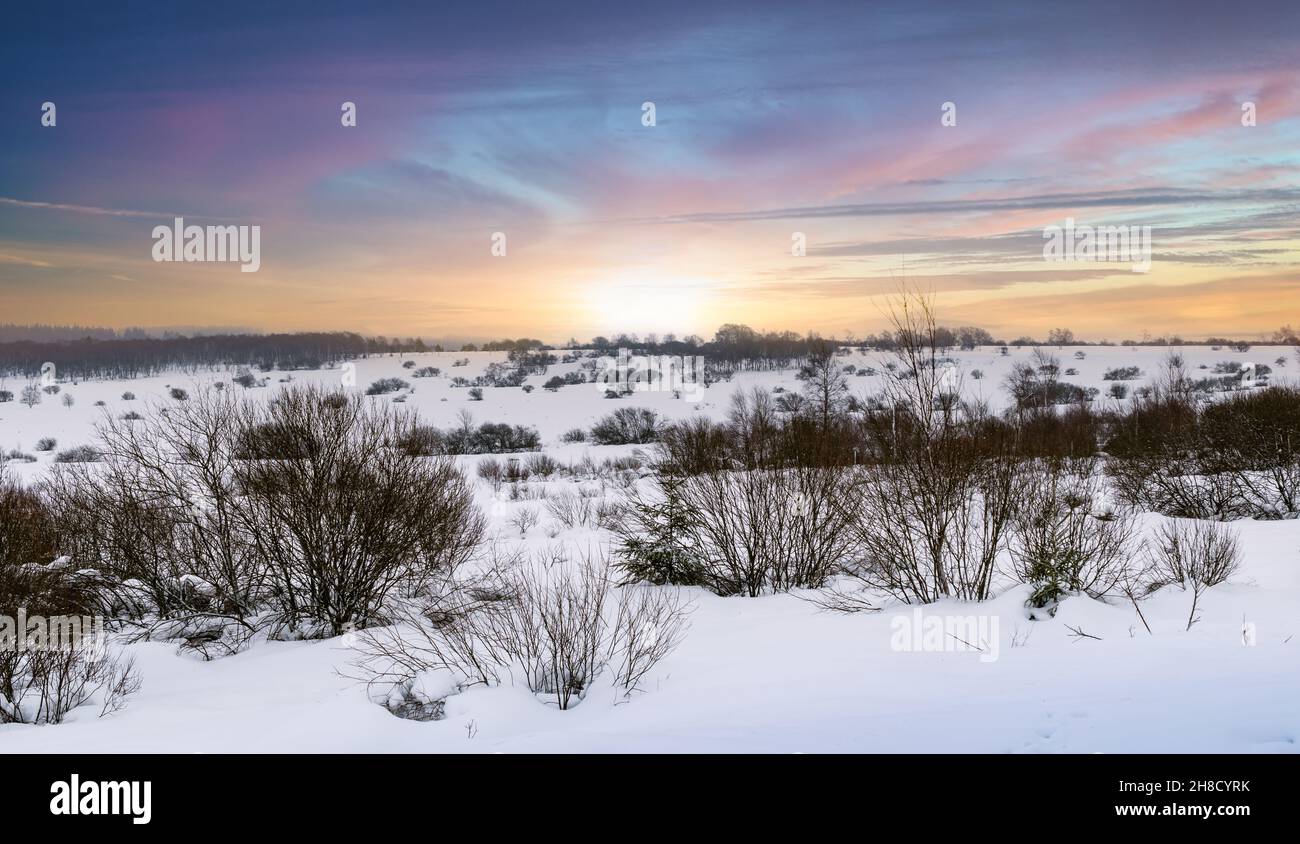 Paesaggio di prati invernali con neve e bel cielo. Foto Stock