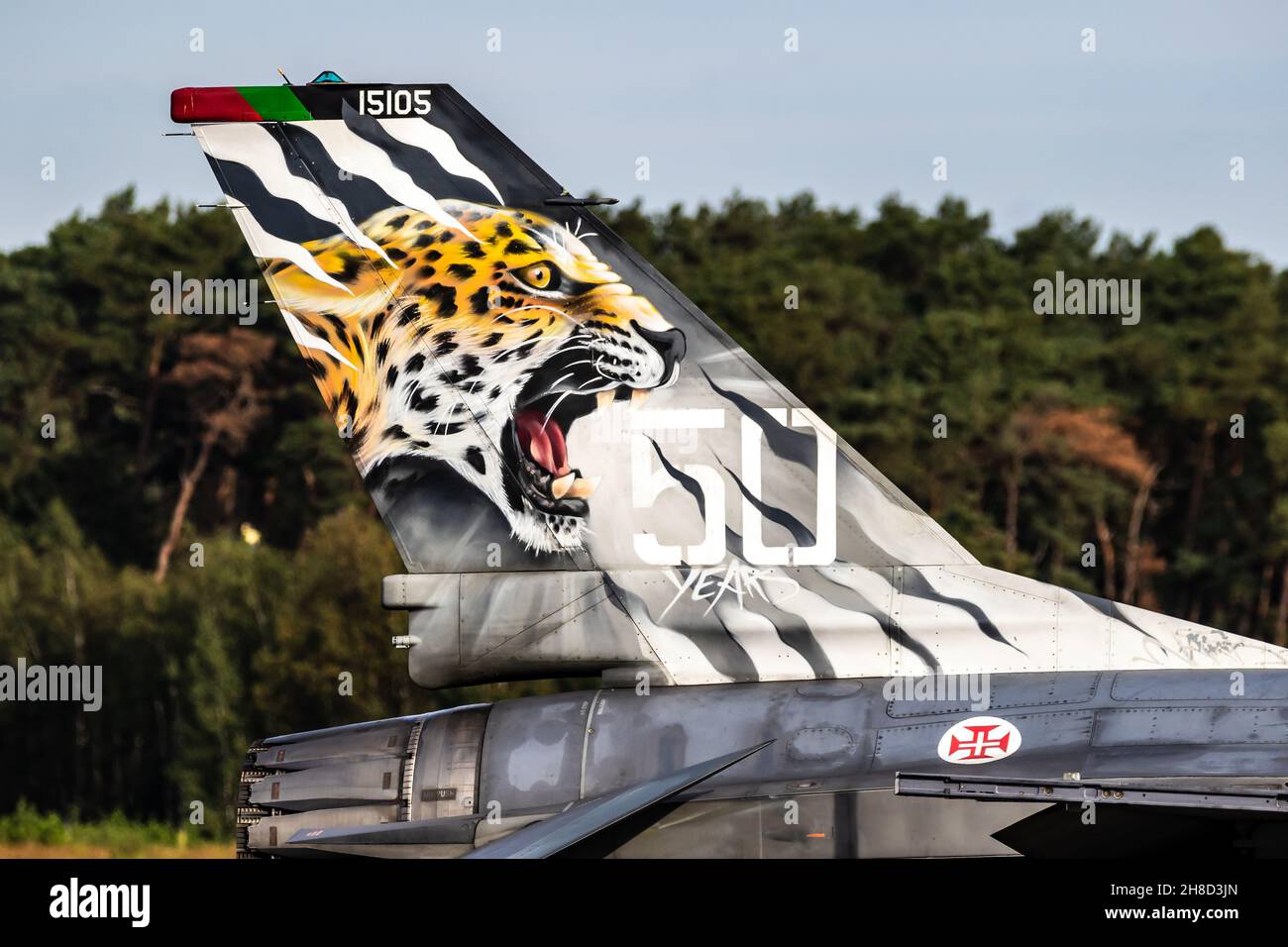 Special Painted Tiger incontra il jet F-16 dell'Aeronautica militare portoghese alla base aerea Kleine-Brogel, Belgio - 13 settembre 2021 Foto Stock