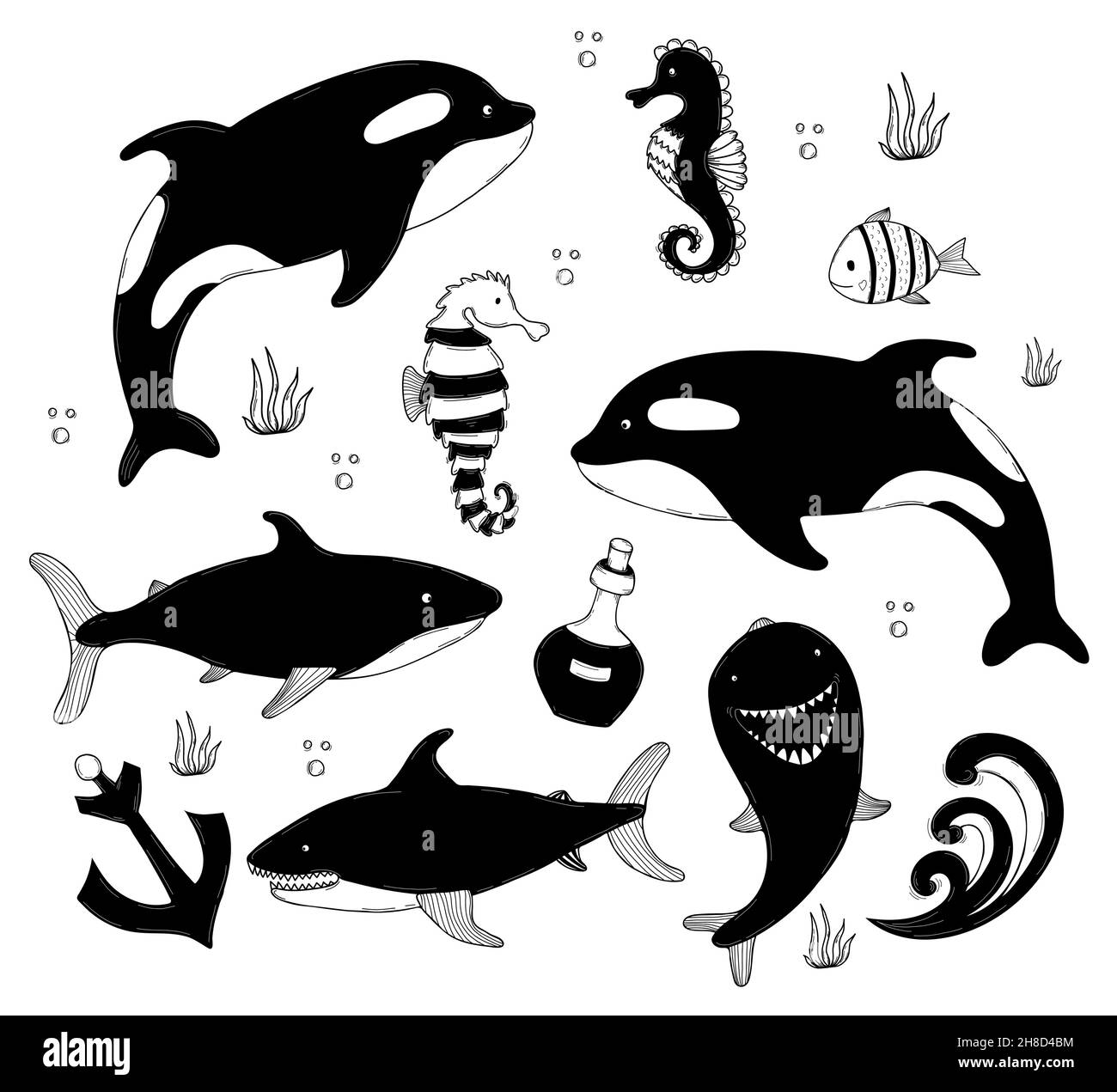 Set di animali marini. Carino grande balena killer balena e squalo, cavallucci marini e delfini, ancora e alghe. Illustrazioni vettoriali di contorno, in stile mano-dr Illustrazione Vettoriale