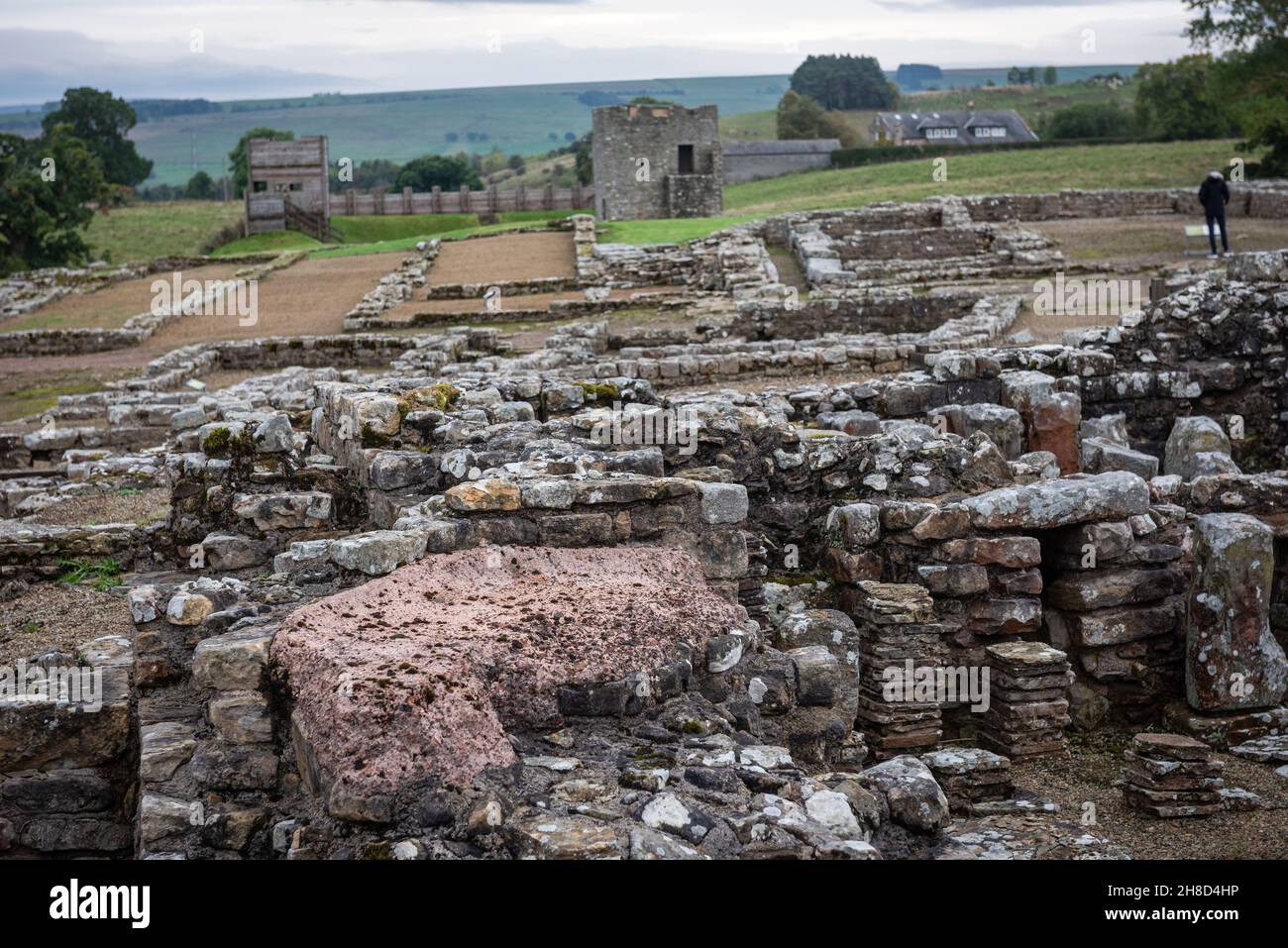 Vindolanda fortezza romana e villaggio vicino al Vallo di Adriano, Northumberland, Regno Unito Foto Stock