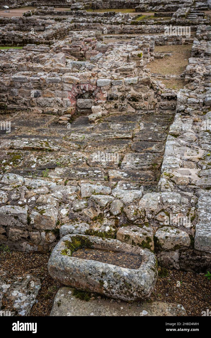 Vindolanda fortezza romana e villaggio vicino al Vallo di Adriano, Northumberland, Regno Unito Foto Stock