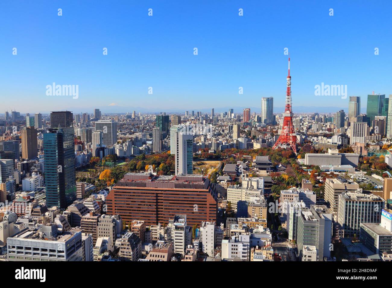 TOKYO, GIAPPONE - 2 DICEMBRE 2016: Paesaggio urbano di Tokyo con la famosa Torre di Tokyo. È la capitale del Giappone. Piccolo Monte Fuji visibile sullo sfondo. Foto Stock