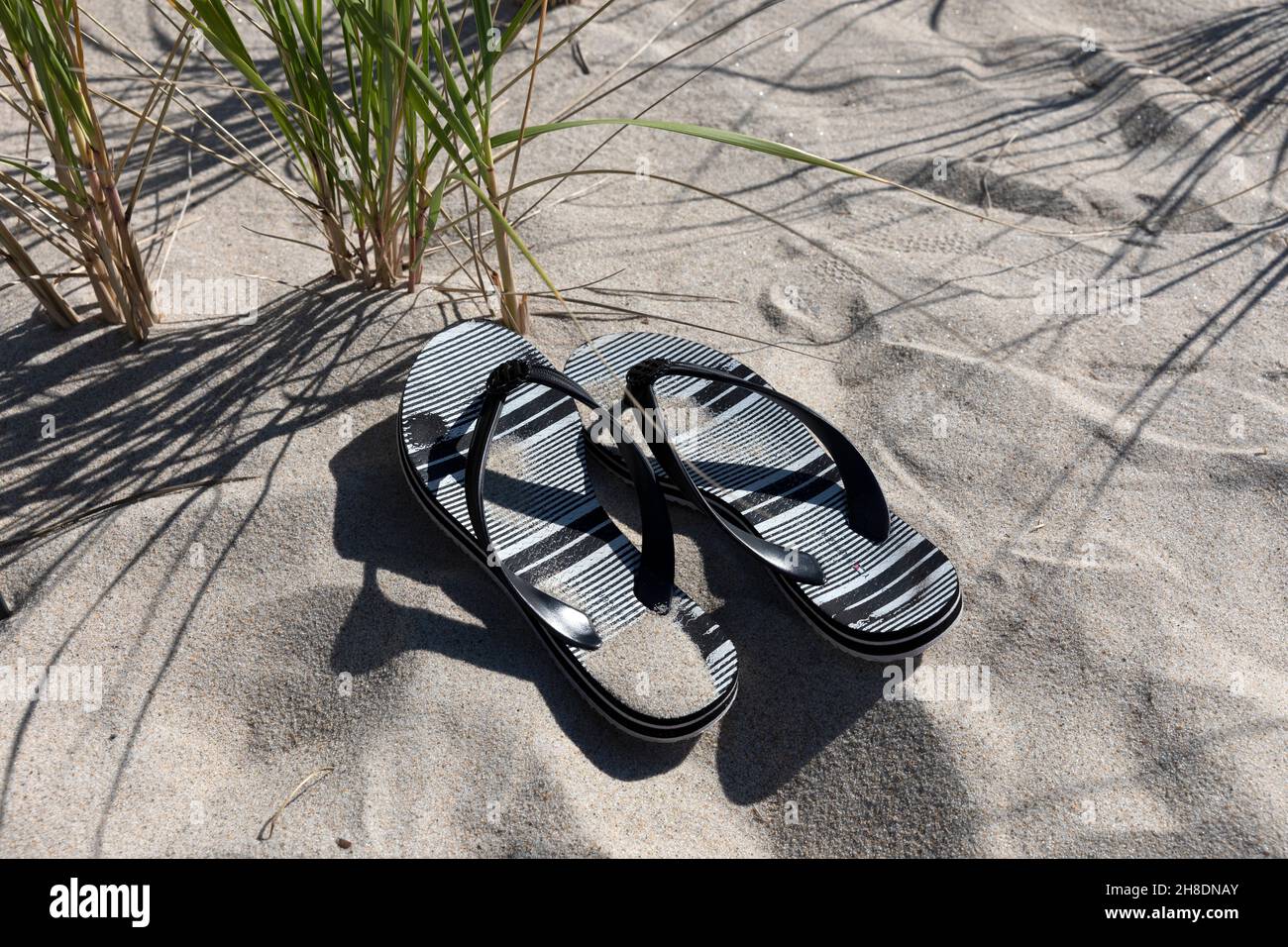 Sandali a Cranes Beach, Ipswich, Massachusetts Foto Stock