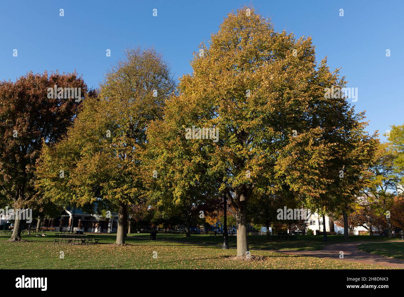 Piers Park, East Boston, Massachusetts Foto Stock