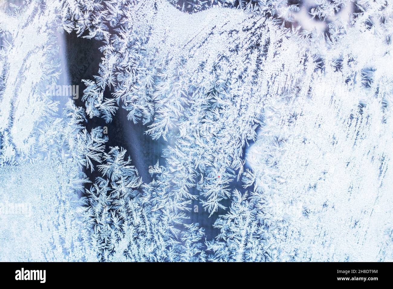 Trama di fiocchi di neve di cristalli di neve su vetro. Messa a fuoco selettiva. Trame invernali, sfondi pattern. Spazio di copia Foto Stock