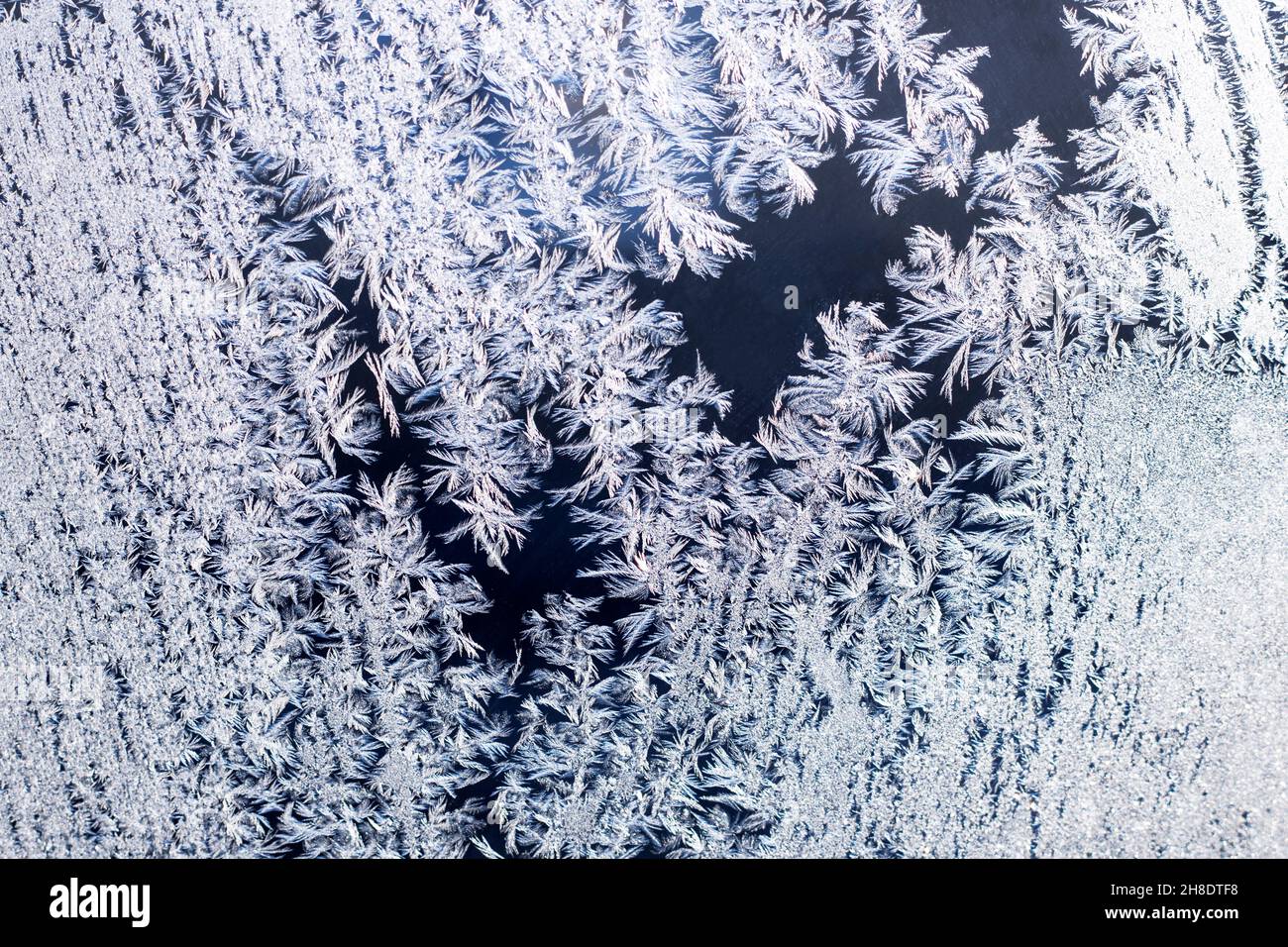 Trama di fiocchi di neve di cristalli di neve su vetro. Messa a fuoco selettiva. Texture invernali, sfondi pattern. Banner. Spazio di copia Foto Stock