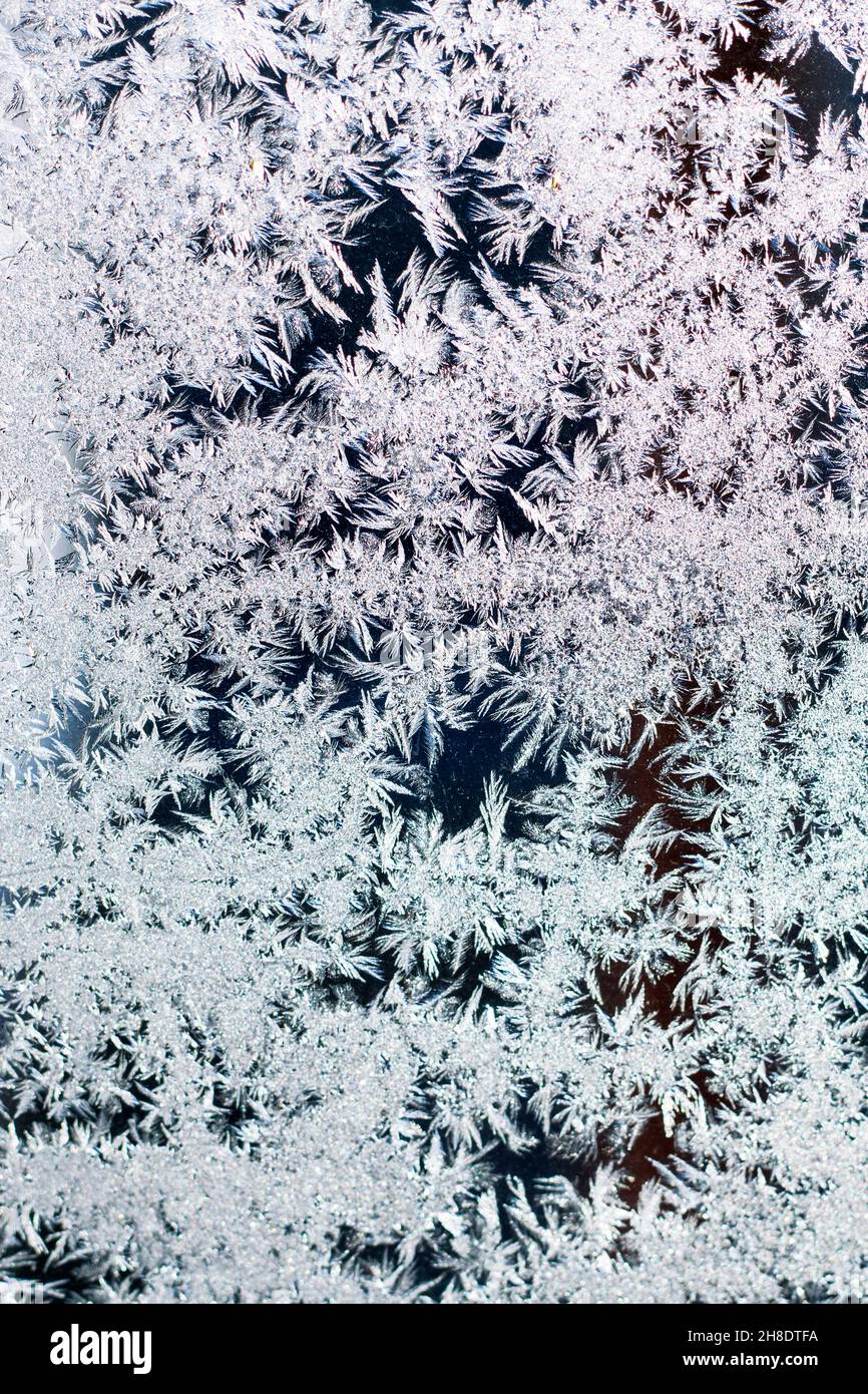 Trama di fiocchi di neve di cristalli di neve su vetro. Messa a fuoco selettiva. Trame invernali, sfondi pattern. Orientamento verticale del riquadro. Foto Stock