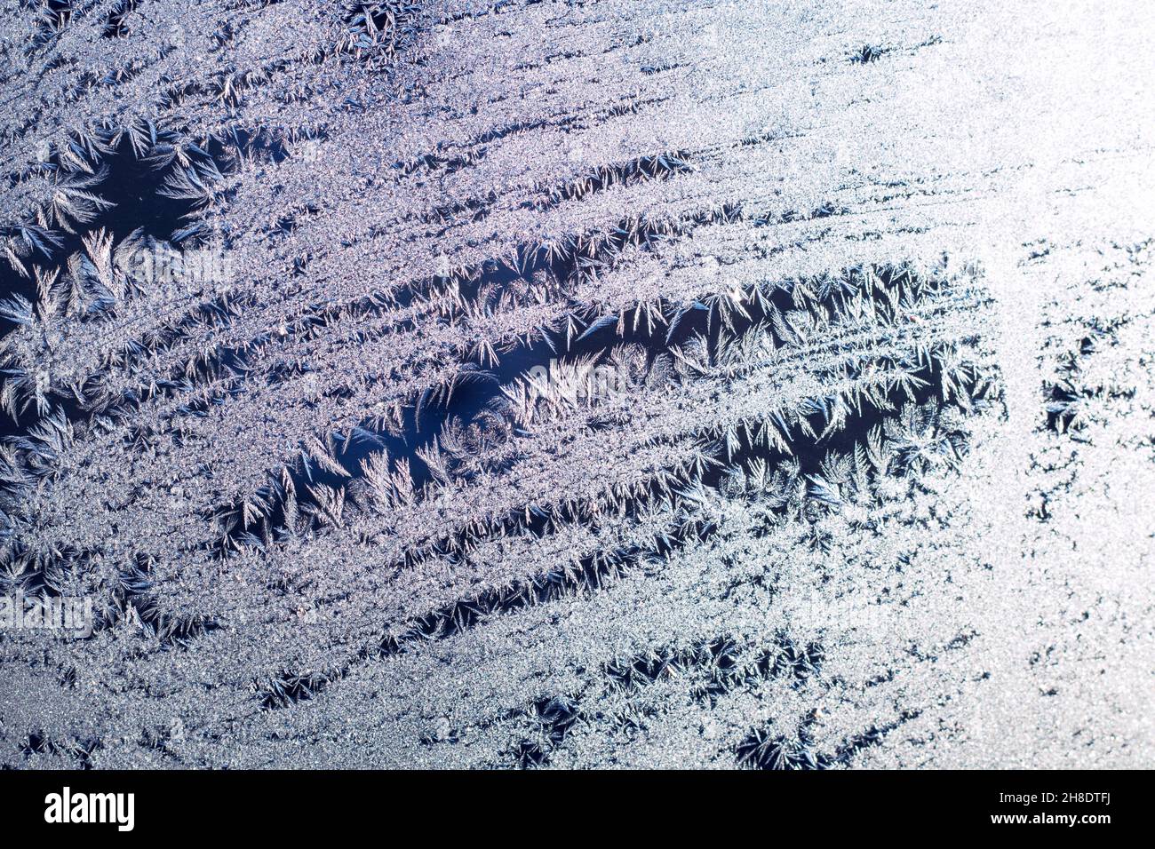 Trama di fiocchi di neve di cristalli di neve su vetro. Messa a fuoco selettiva. Trame invernali, sfondi pattern. Spazio di copia Foto Stock