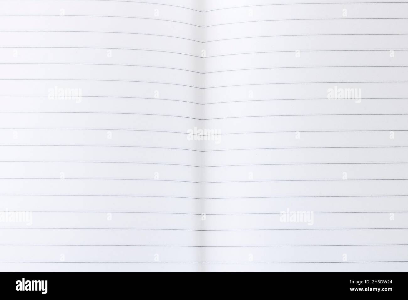 Foglio del notebook in un righello. Notebook. Quaderno scolastico. Linee. Spazio di copia Foto Stock