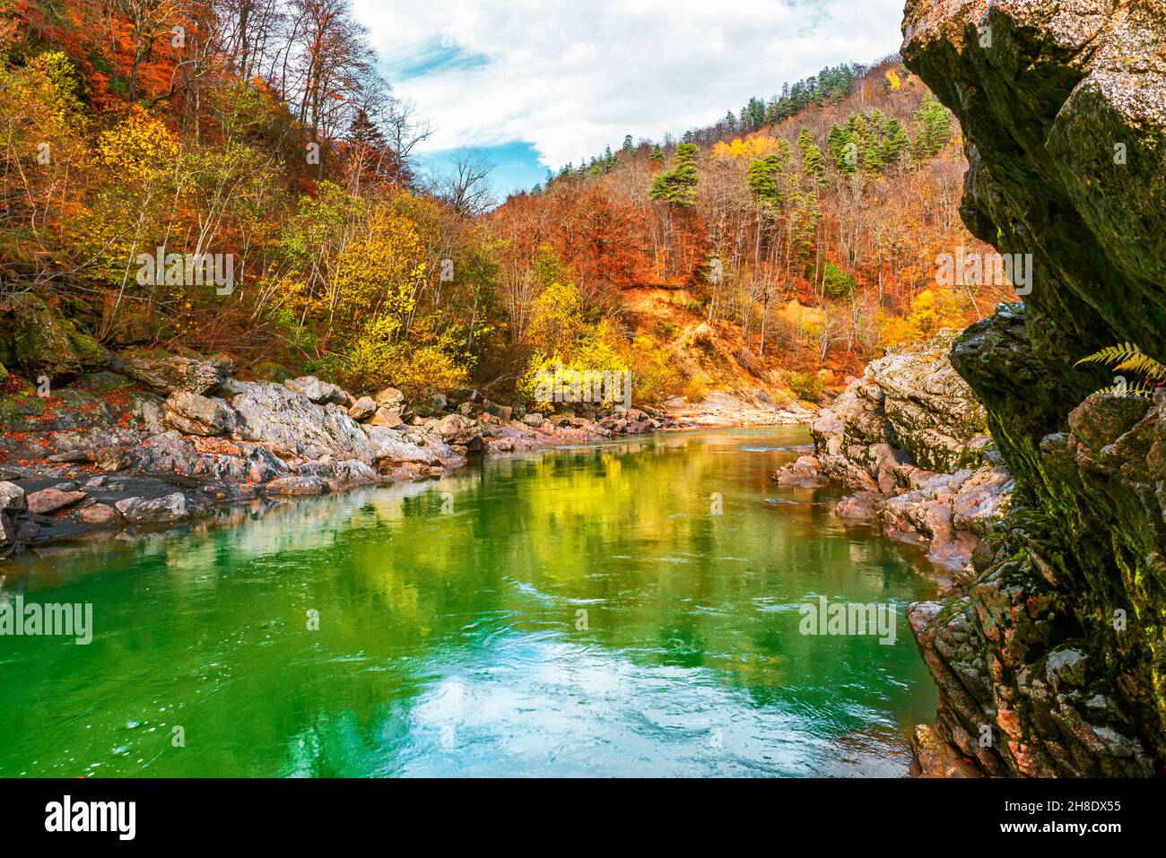 Fiume di montagna con le banche di pietra e la foresta su di loro Foto Stock