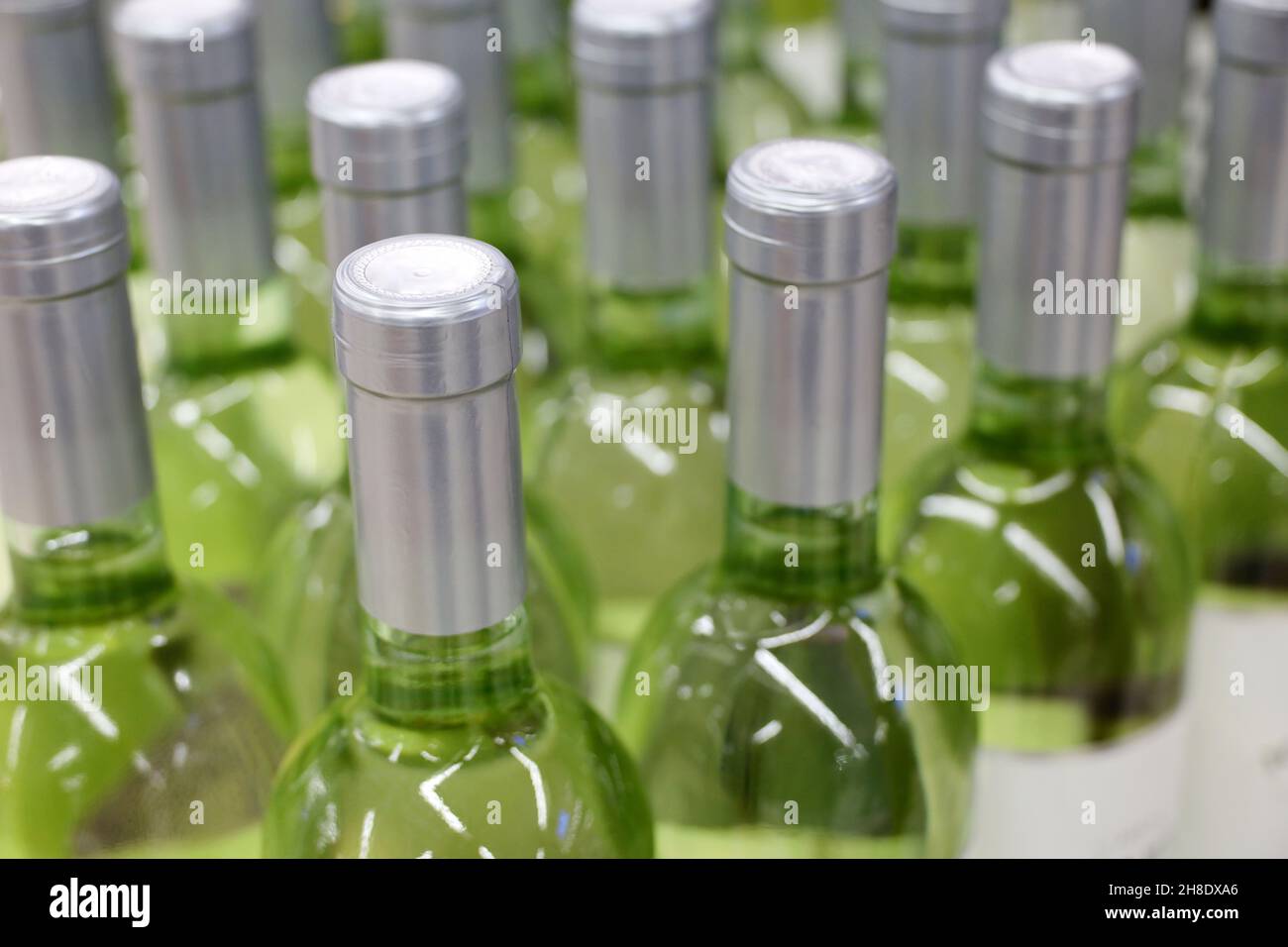 Bottiglie di vino bianco in fila, fuoco selettivo. Negozio di liquori, produzione di vino Foto Stock
