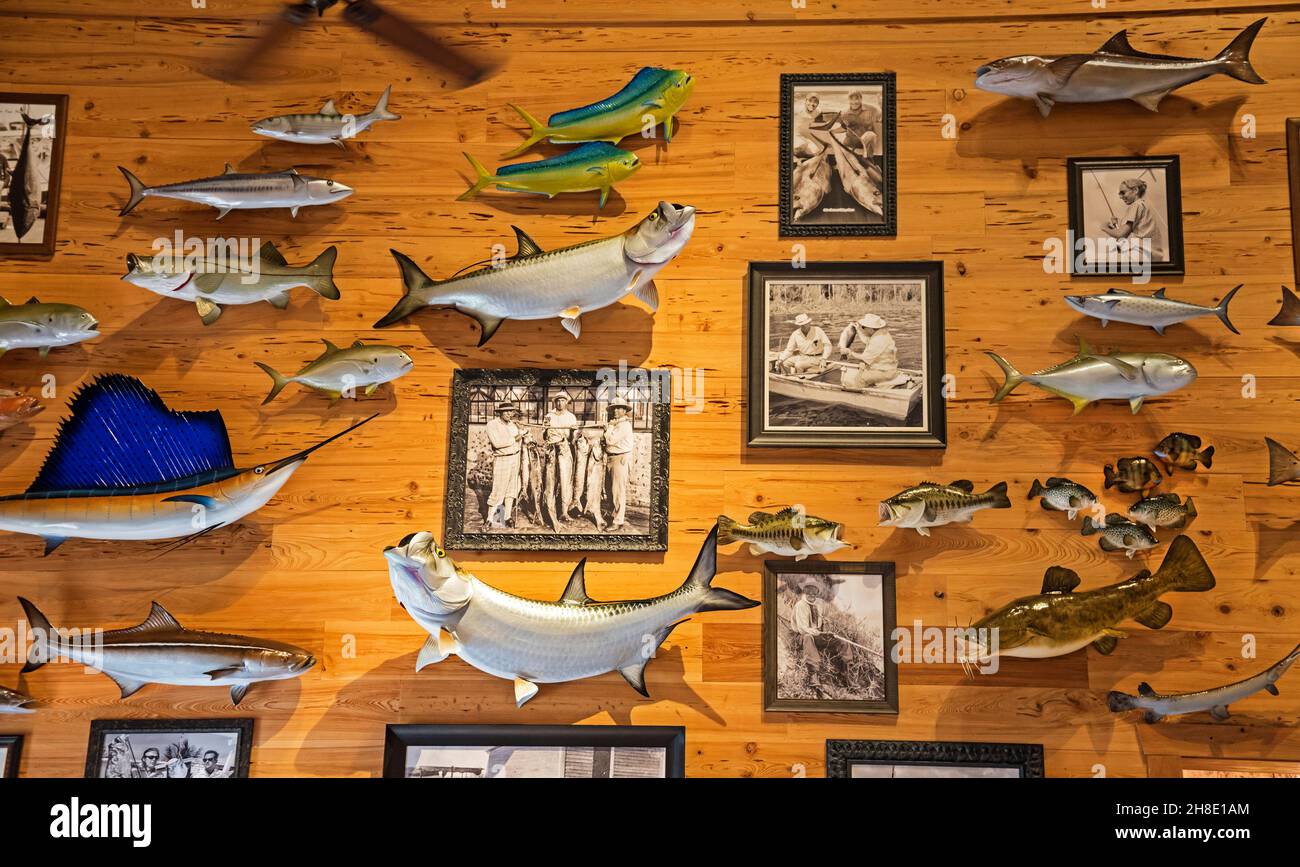 Mostra di pesca completa di vecchie fotografie e pesce montato all'interno di un negozio di attività ricreative all'aperto nel nord della Florida centrale. Foto Stock