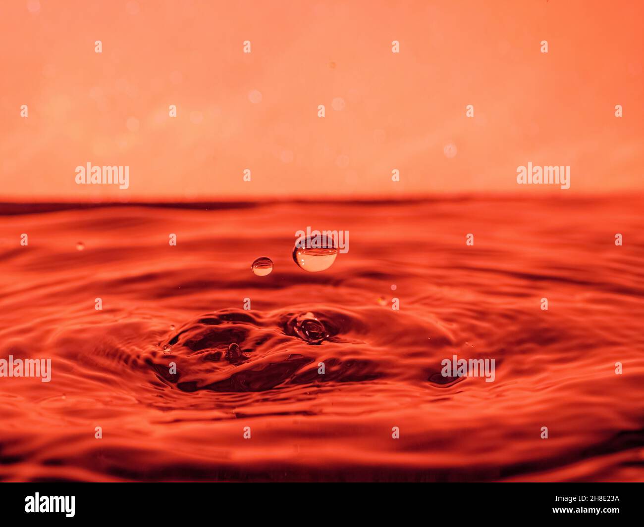 Una goccia rossa gocciola nell'acqua e crea spruzzi di forme diverse, a causa degli spruzzi si creano onde sull'acqua, il concetto di liquido Foto Stock