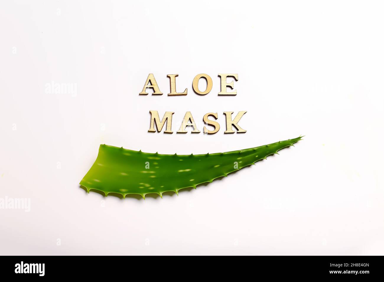 foglia di aloe su sfondo chiaro. Cosmetici naturali e trattamenti. Foto Stock