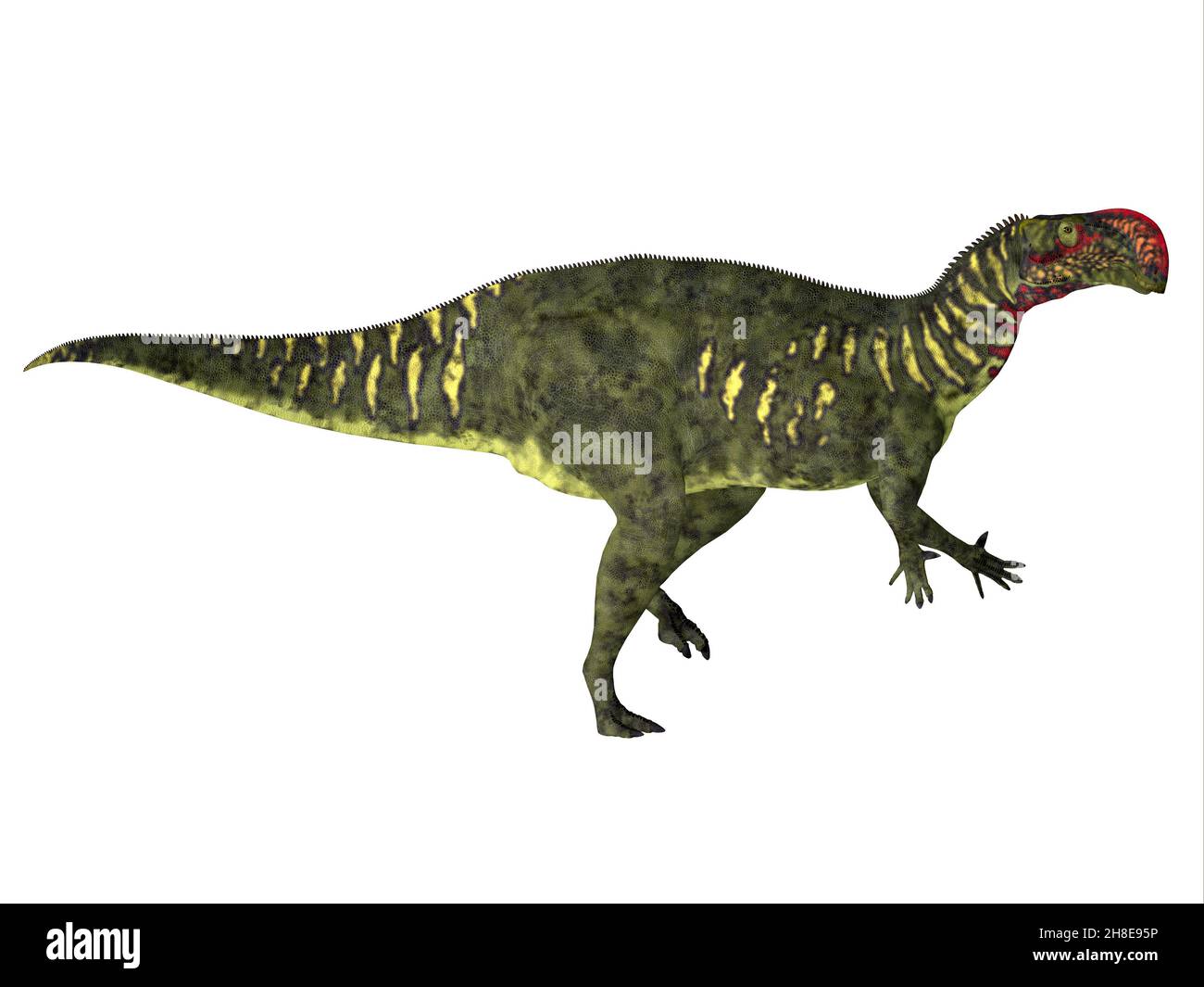 Altirhinus era un dinosauro di iguanodone, che viveva in Mongolia durante il periodo cretaceo. Foto Stock