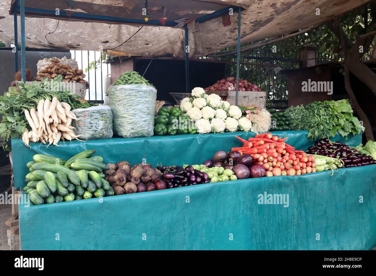 Vendere frutta e verdura su una strada rurale in India Foto Stock