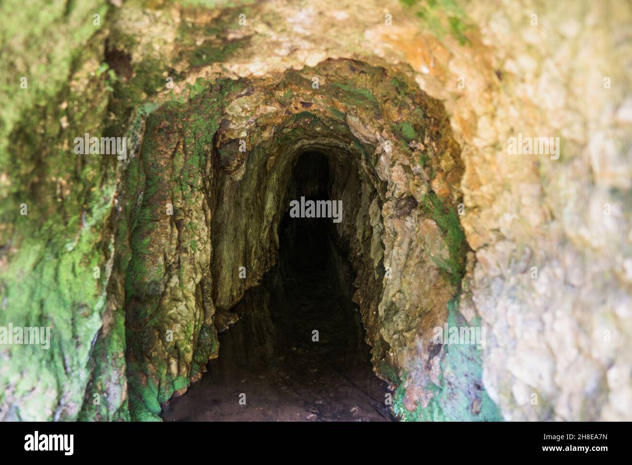 Vecchio tunnel minerario, parte delle passerelle della gola di Karangahake Foto Stock