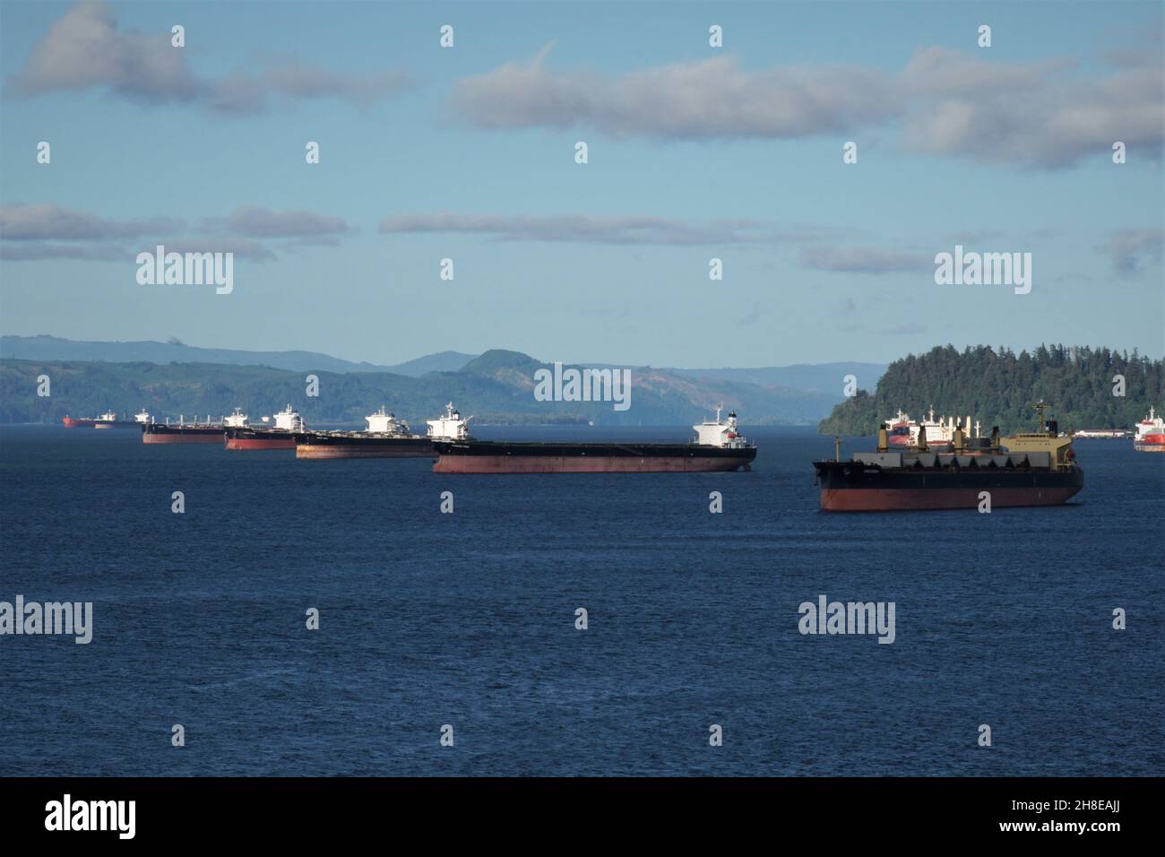 Navi da carico alla rinfusa ancorate osservate da navi da container mercantili che navigano attraverso il fiume Columbia, Oregon. Foto Stock