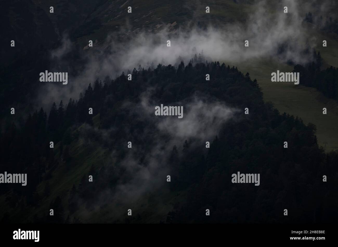 Wald Natur in den Bergen um den Achensee Foto Stock