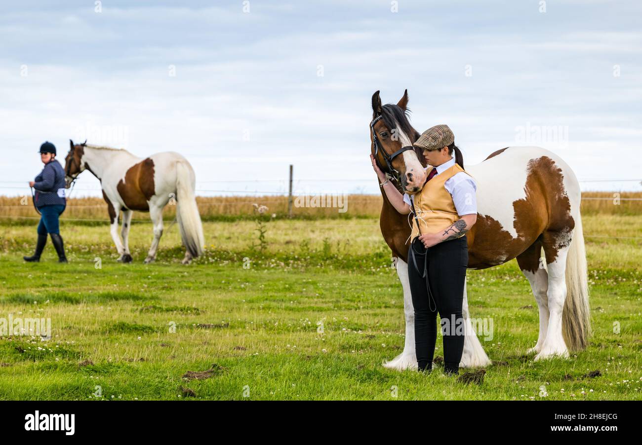 Donna con cappuccio piatto e cavallo zingaro all'evento estivo all'aperto, East Lothian, Scozia, Regno Unito Foto Stock