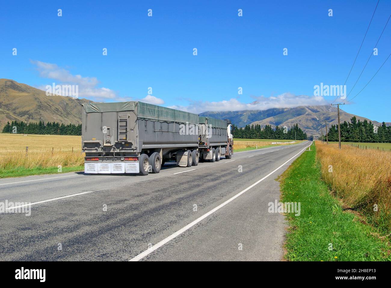 Carrello di bestiame su strada statale 73, Selwyn District, Canterbury, Isola del Sud, Nuova Zelanda Foto Stock