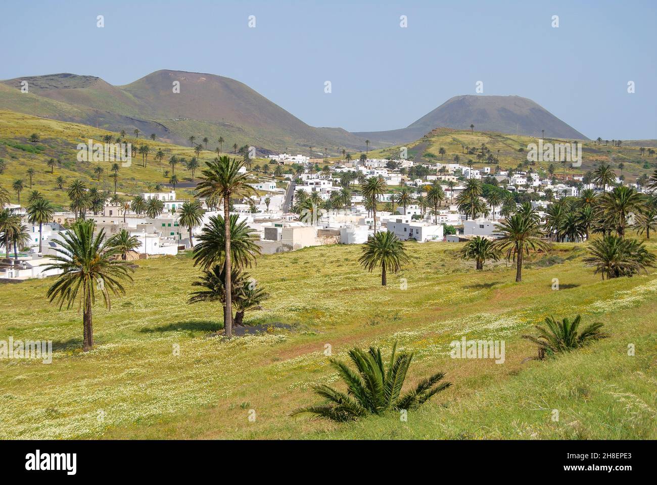 Valle di mille palme, Haria, Provincia di Las Palmas, Lanzarote, Isole Canarie, Spagna Foto Stock