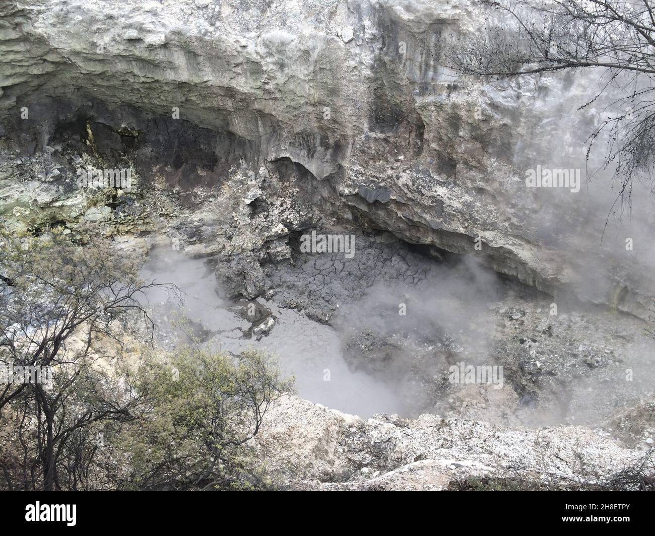 Splendida vista sul geyser con alberi e laghetti Foto Stock