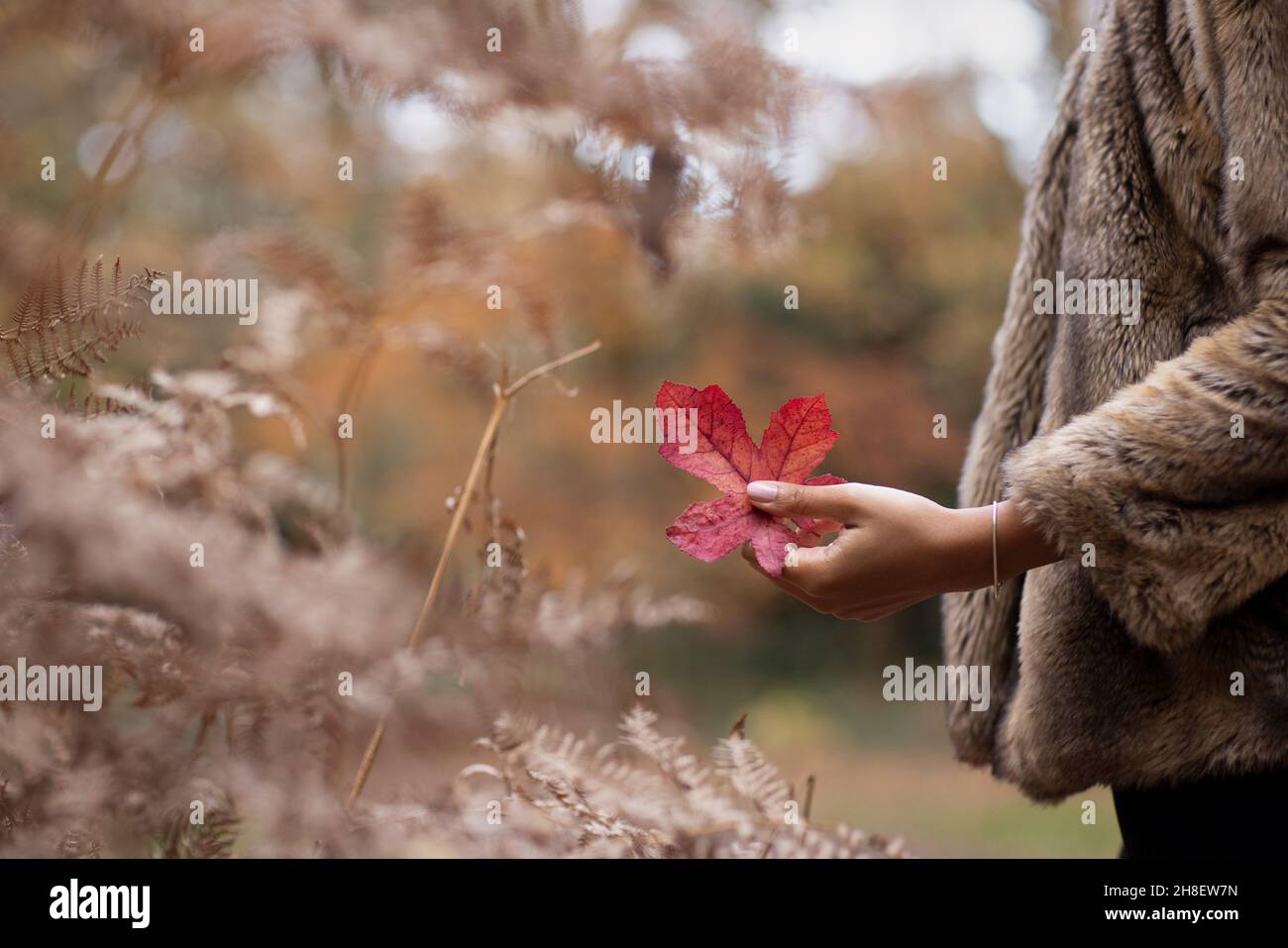 Donna in pelliccia di cappotto che tiene rosso foglia autunno nel parco Foto Stock