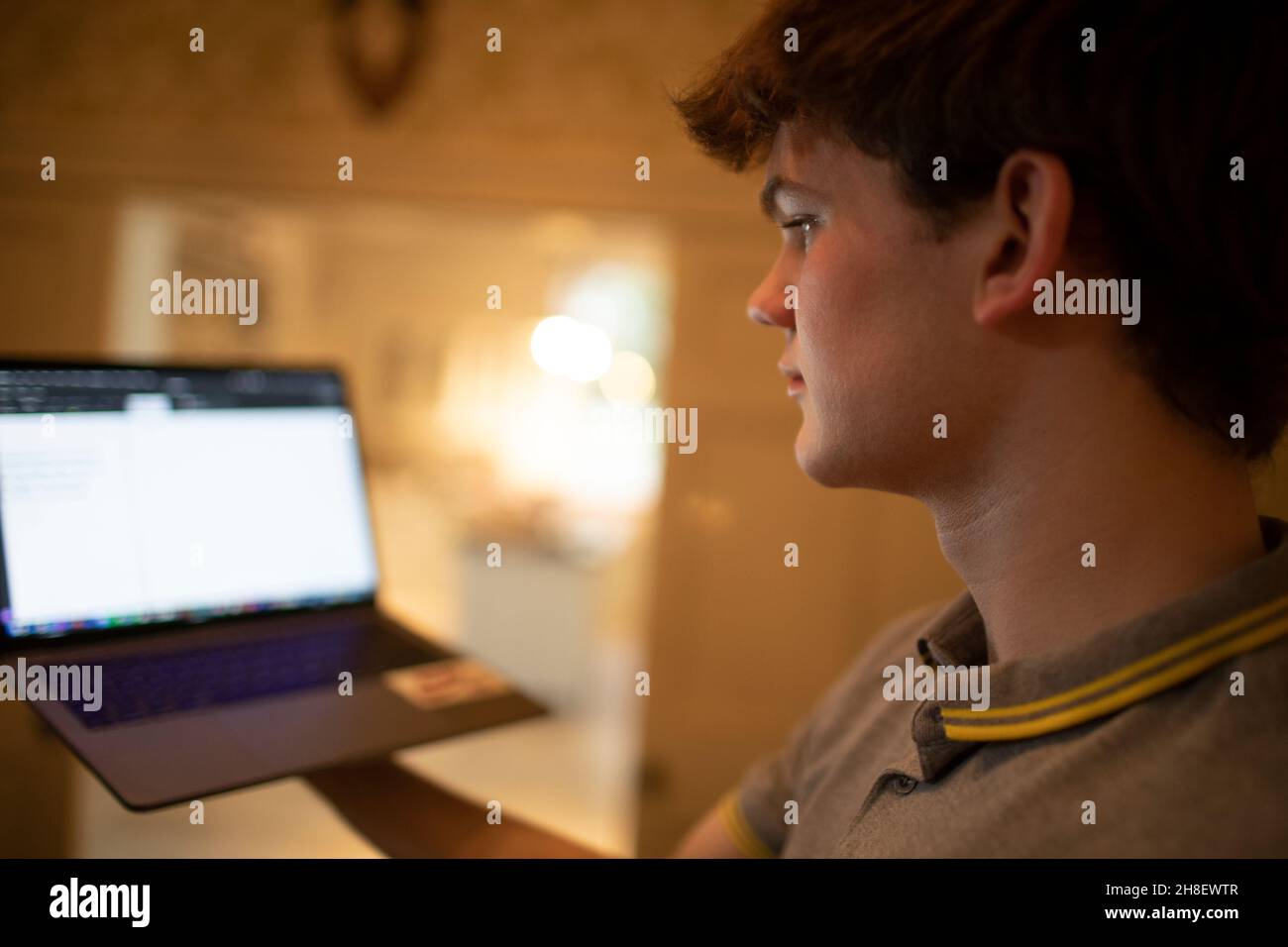 Ragazzo adolescente che usa il laptop a casa Foto Stock