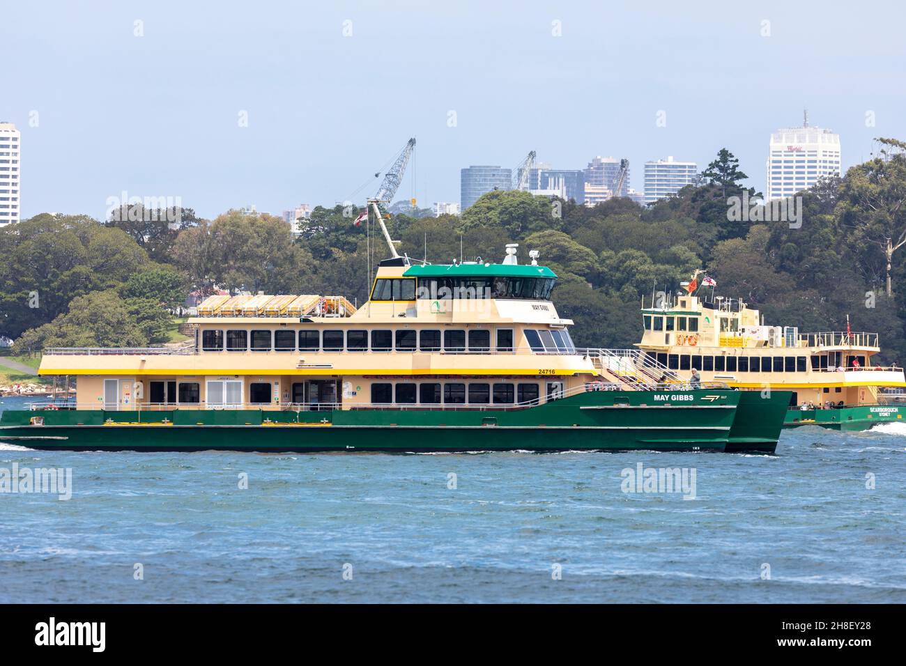 Traghetto passeggeri di classe smeraldo di Sydney chiamato May Gibbs che opera nel porto di Sydney, NSW, Australia Foto Stock