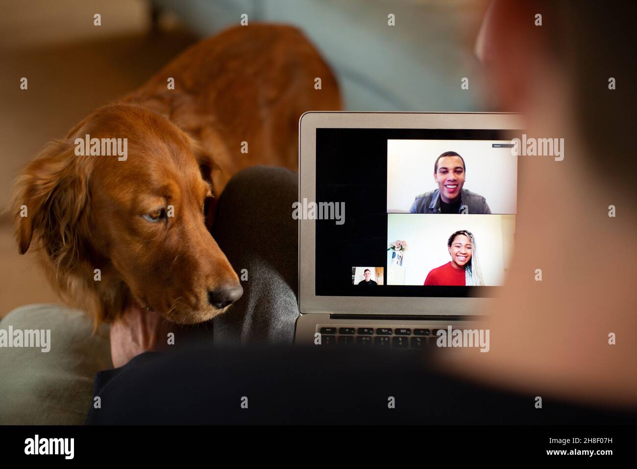 Uomo con cane video chat sullo schermo del laptop Foto Stock