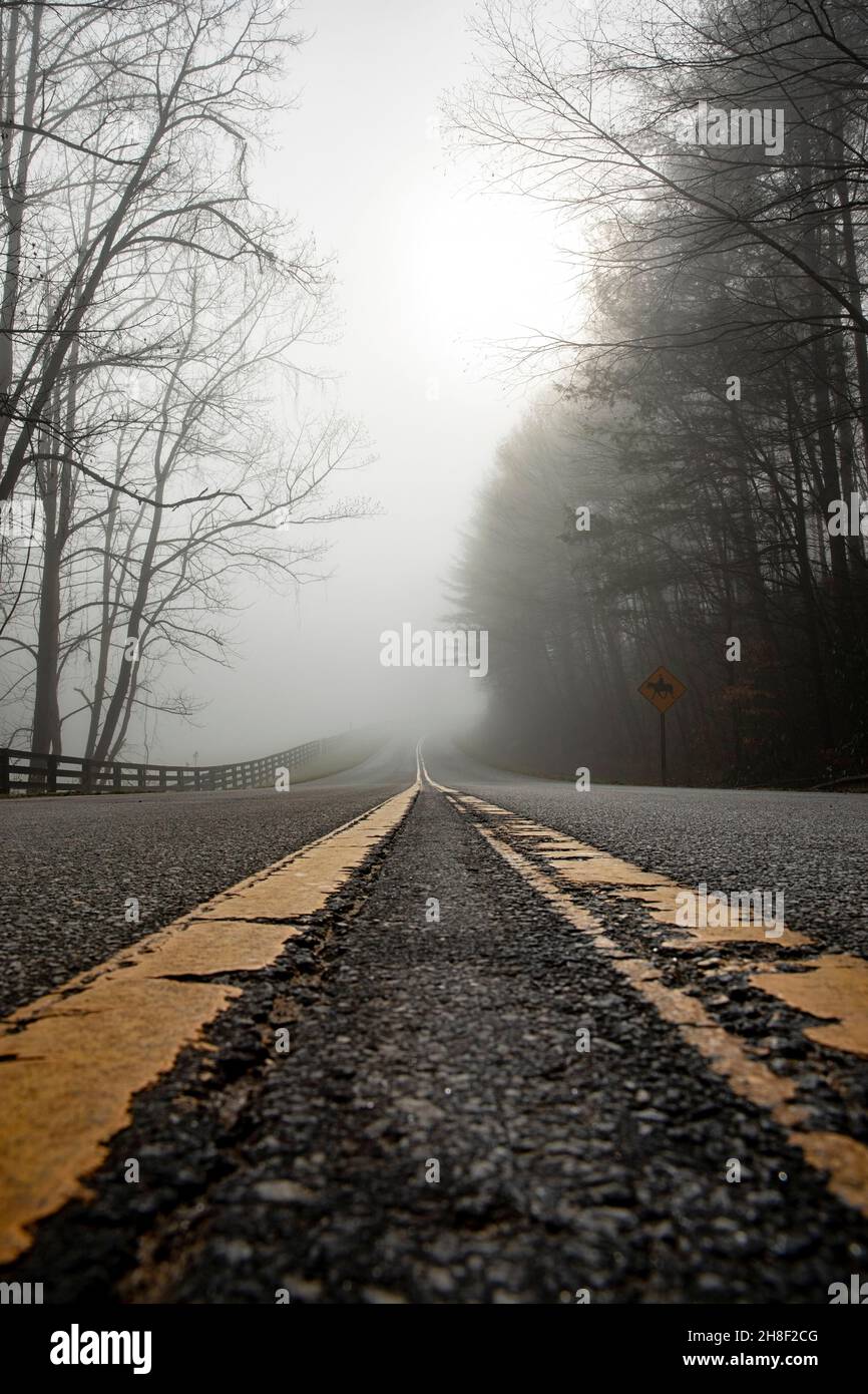 Strada di campagna di nebbia vicino alla Foresta Ricreativa dello Stato di Dupont - Sky Valley Road, Hendersonville, Carolina del Nord, Stati Uniti Foto Stock