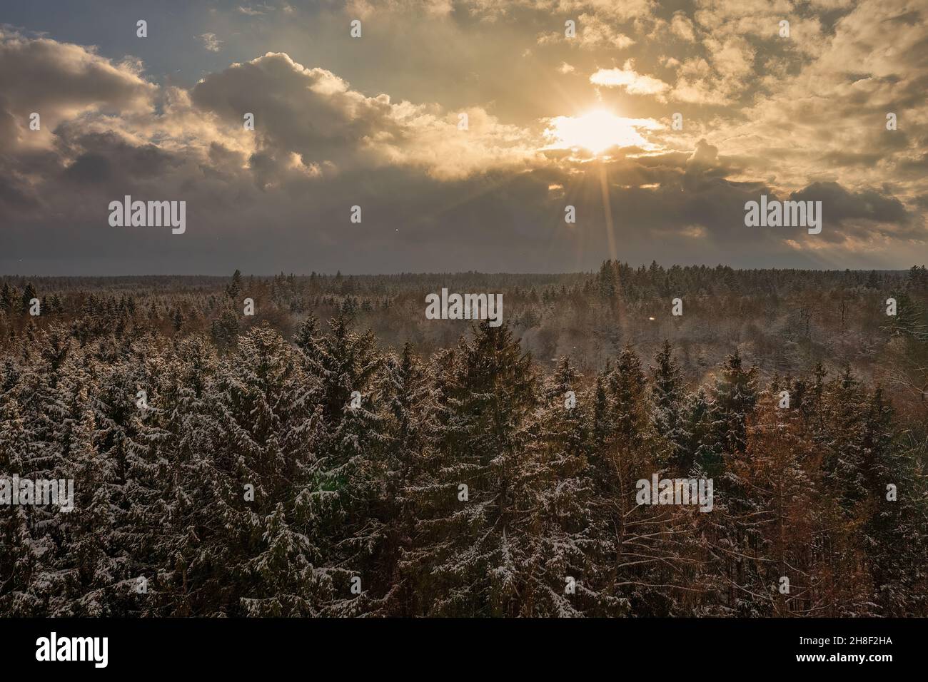 Dopo una giornata nevosa, il sole splende sulle cime degli alberi bianchi. Foto Stock