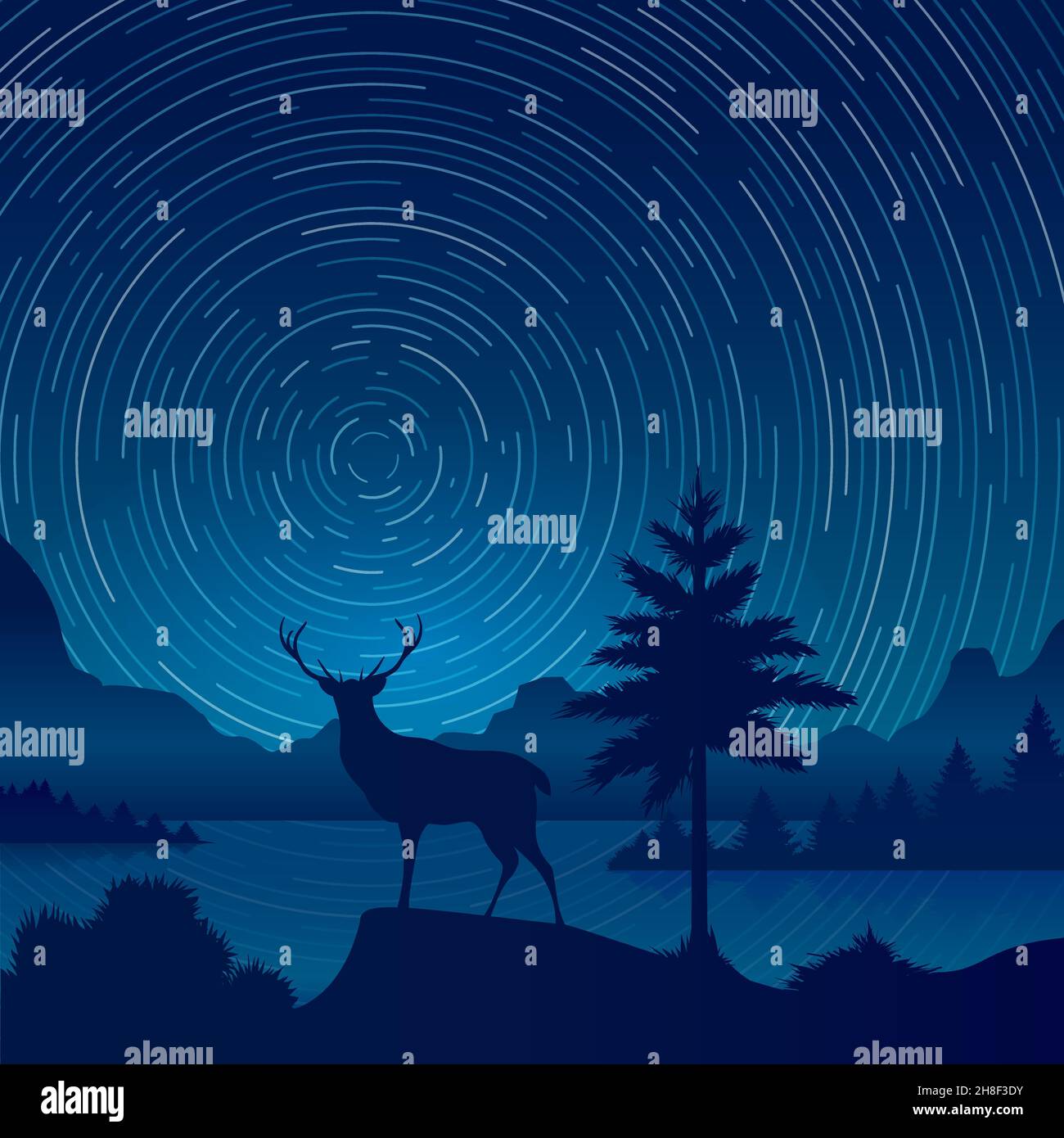 Esposizione stellata paesaggio Illustrazione Vettoriale