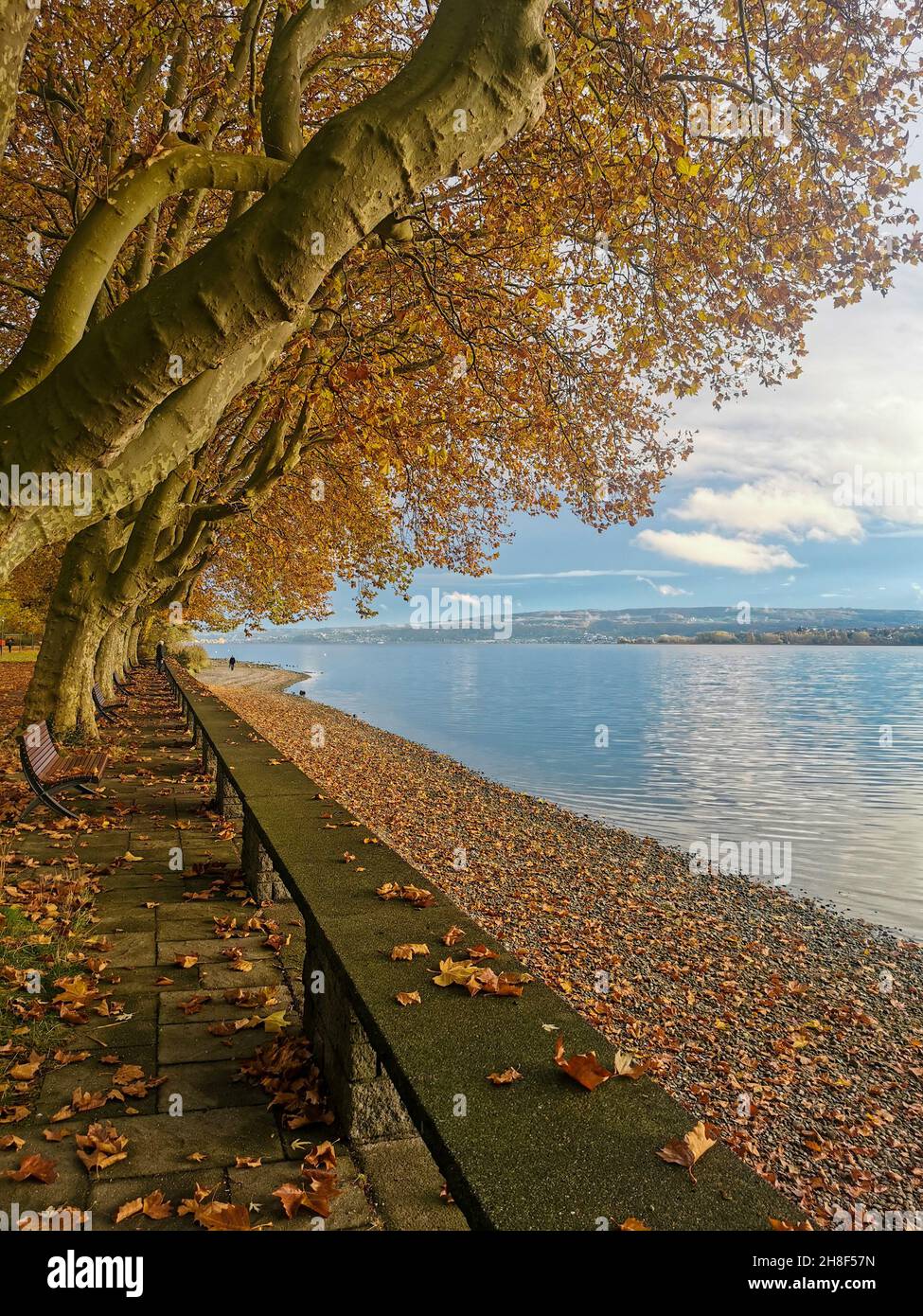 Vacanza in autunno sul bellissimo lago di Costanza Foto Stock