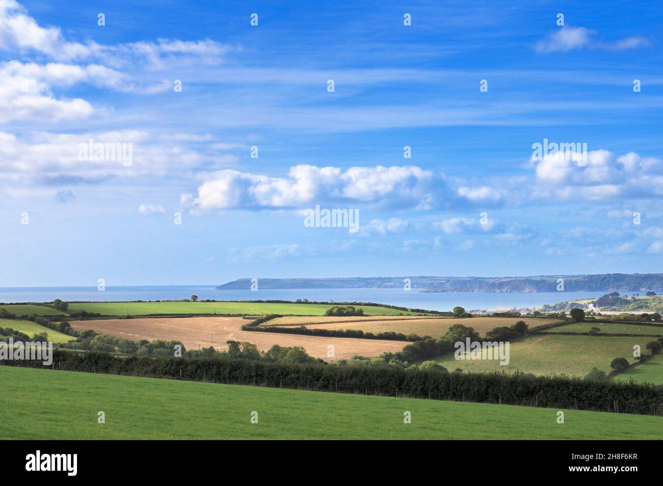 Una vista semplice della campagna con campi verdi, alberi, siepi e aiuole su terreni agricoli vicino alla costa della Cornovaglia, Cornovaglia, Inghilterra, Regno Unito. Foto Stock
