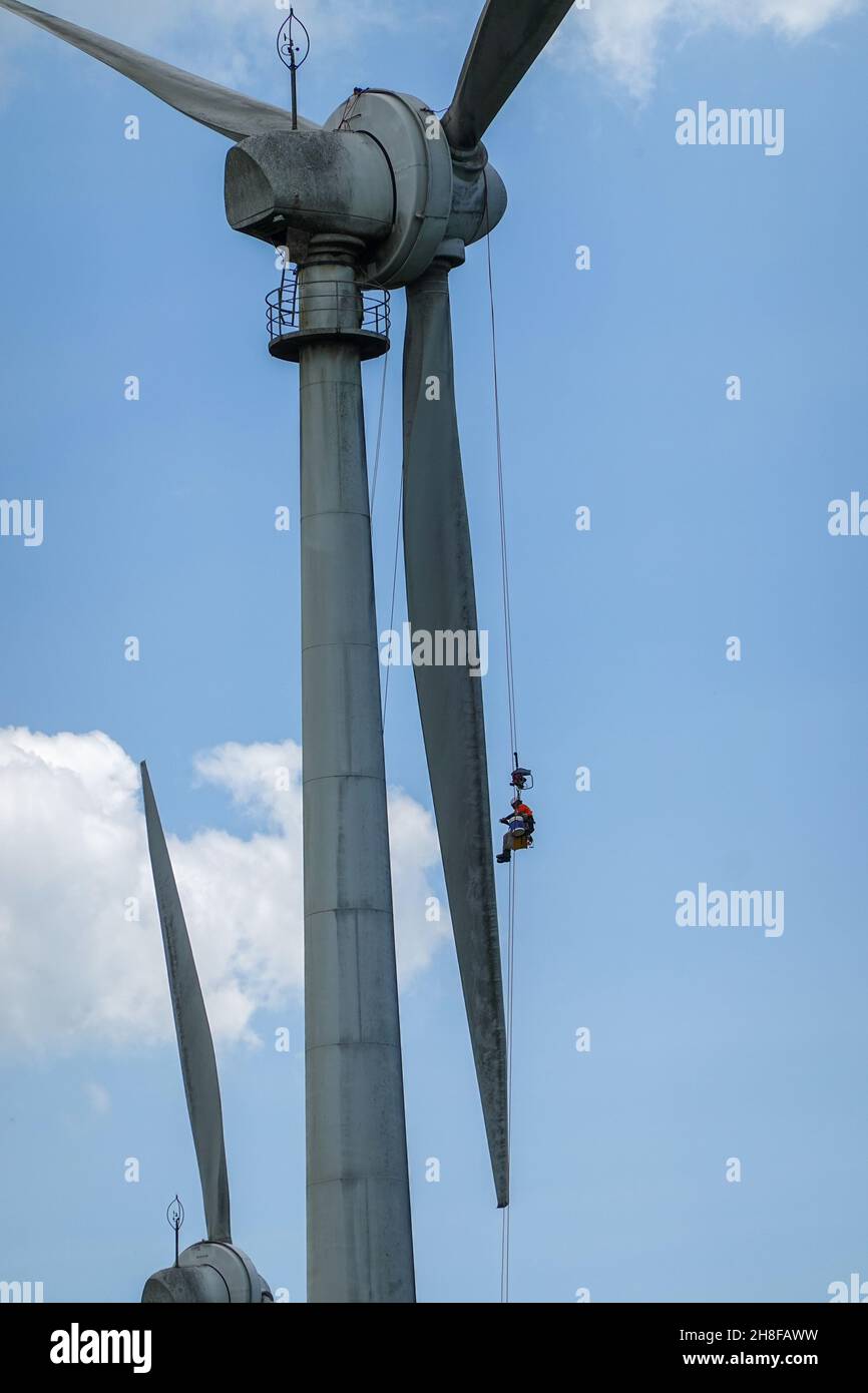 Windy Hill Wind Farm, Ravenshoe, Queensland, Australia Foto Stock