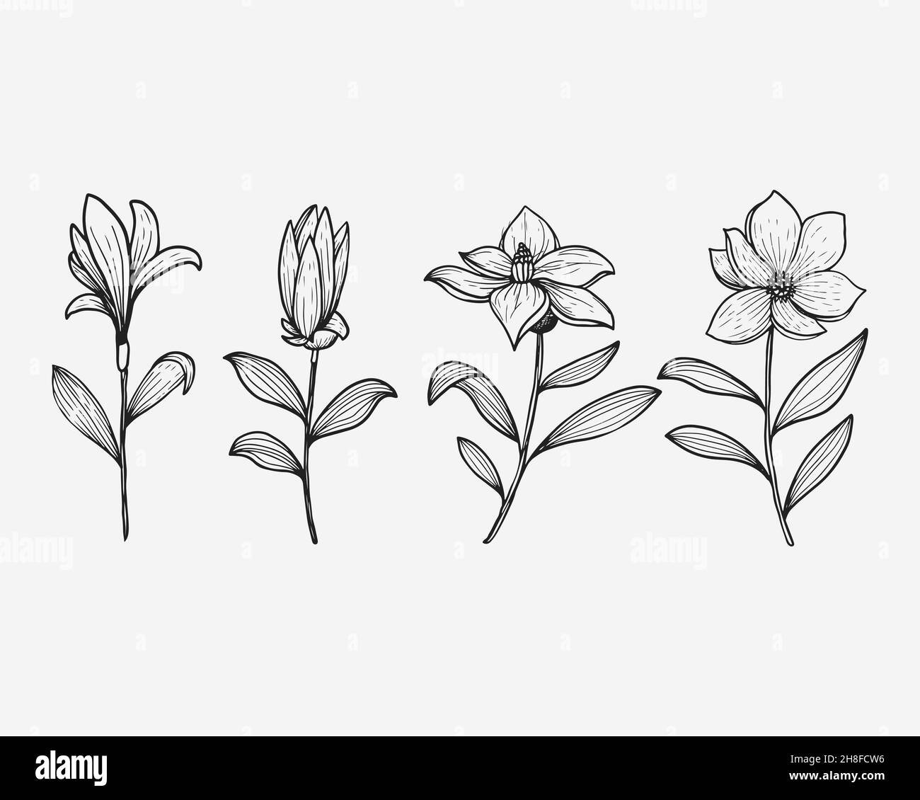 set floreale disegnato a mano. disegno vettoriale. vettore floreale Illustrazione Vettoriale