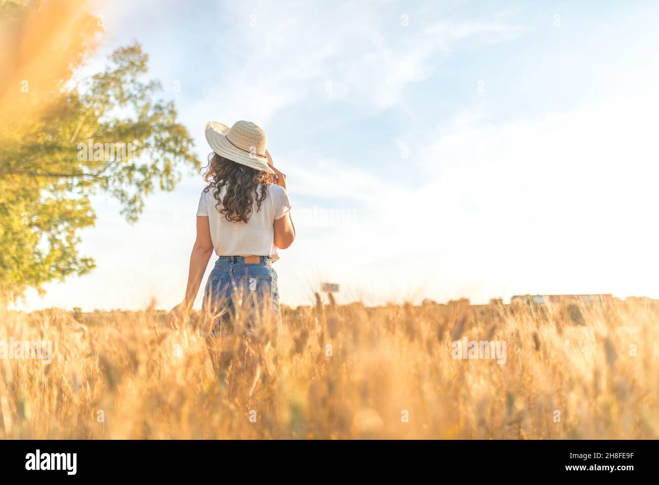 Giovane donna con un cappello in un campo di grano mature soleggiato. Panorama Foto Stock