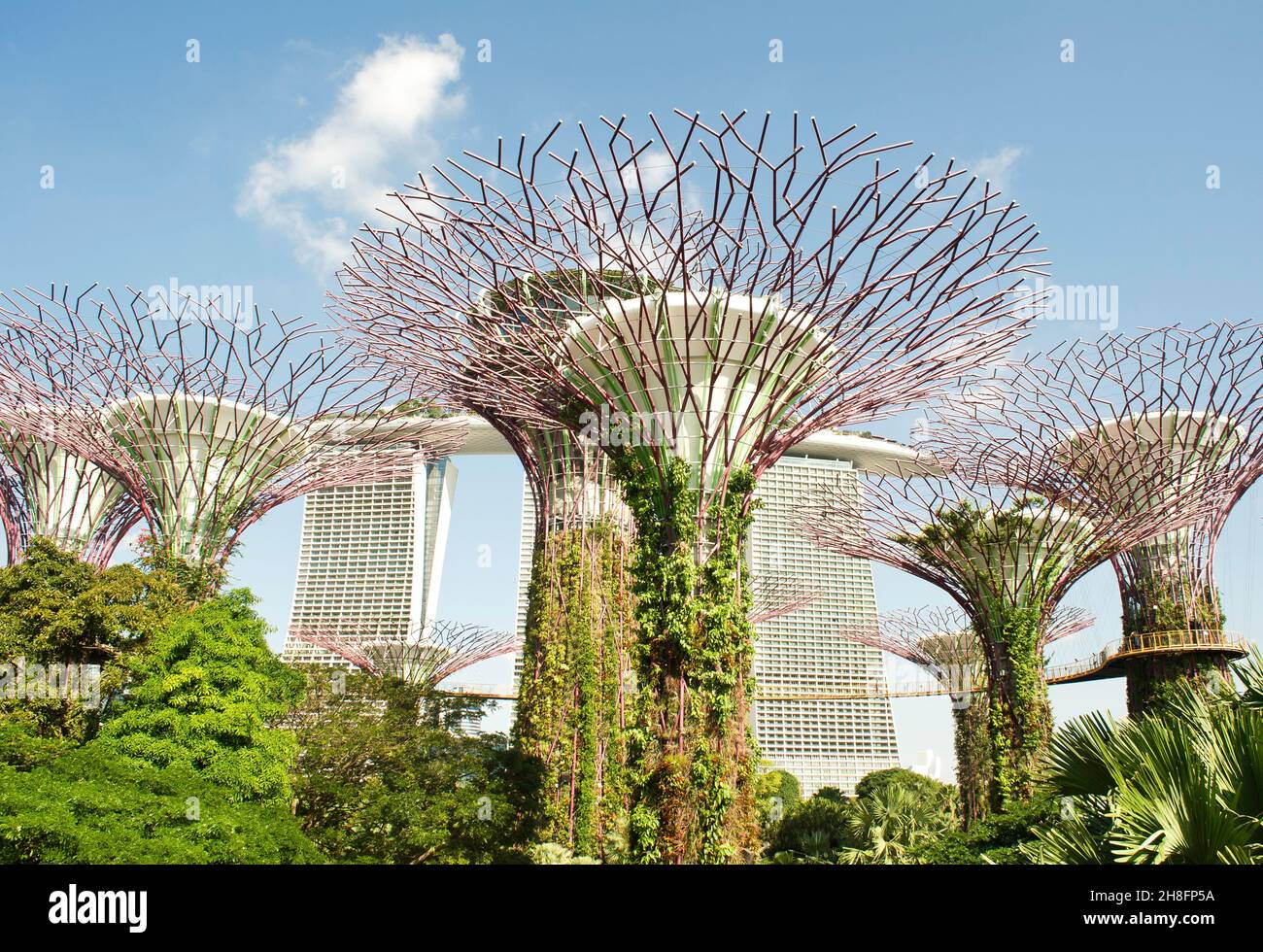 Supertrees at Gardens by the Bay di fronte al Marina Bay Sands Hotel a Singapore Foto Stock